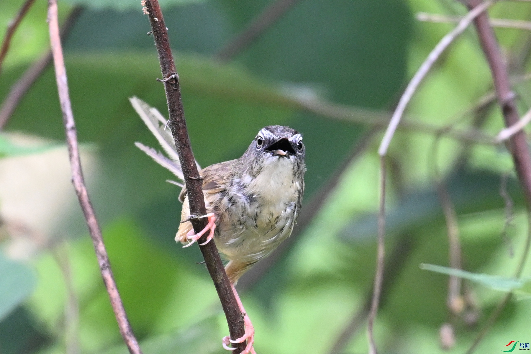 DSC_9983.JPG