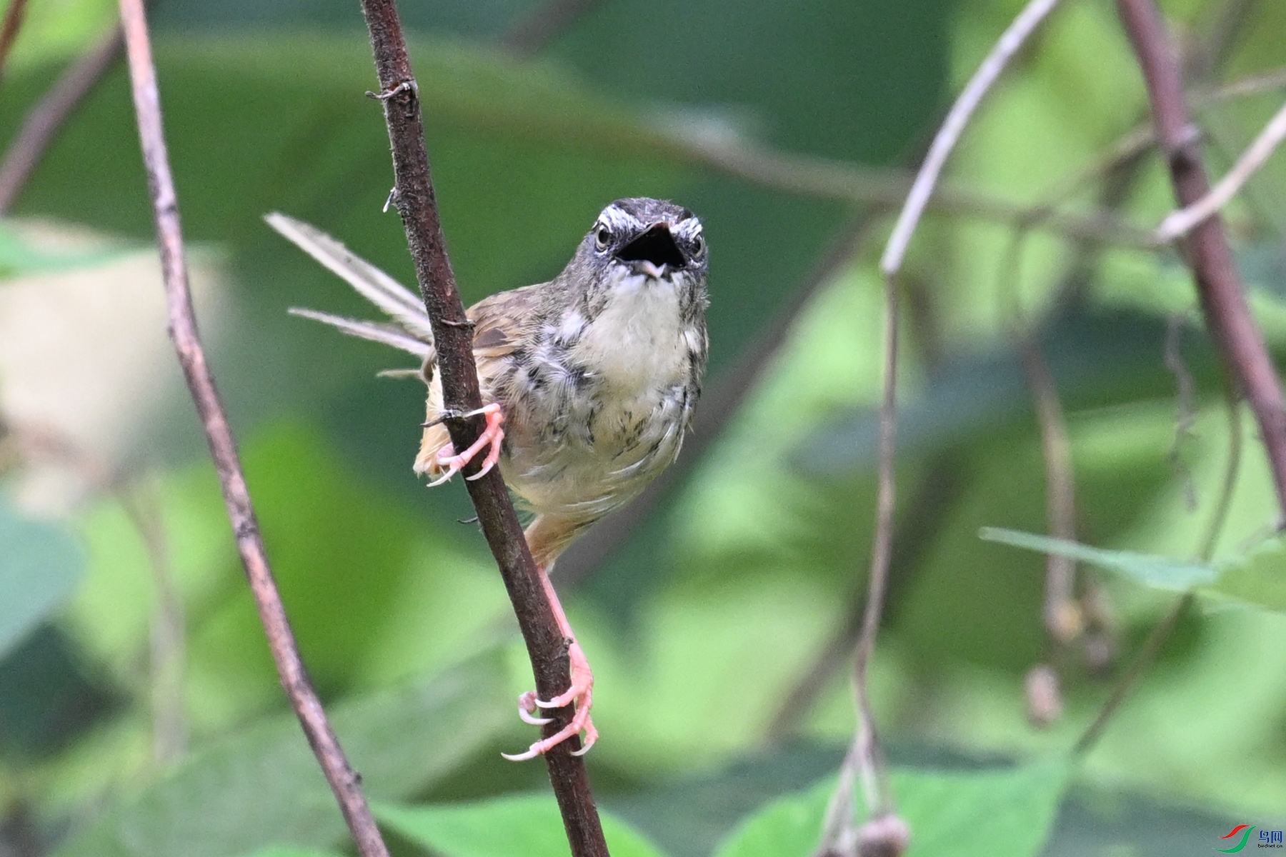 DSC_9985.JPG
