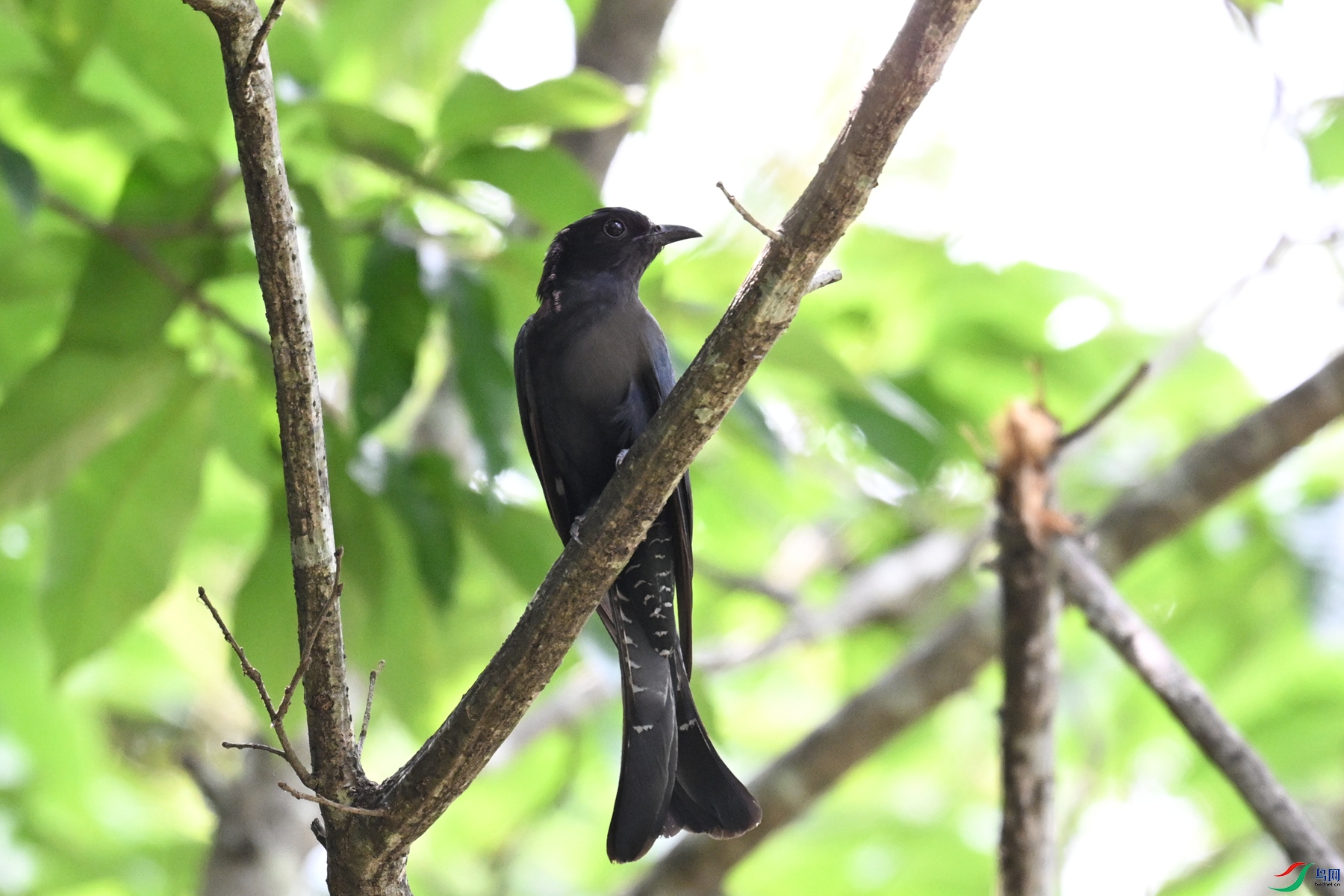 DSC_0890.JPG