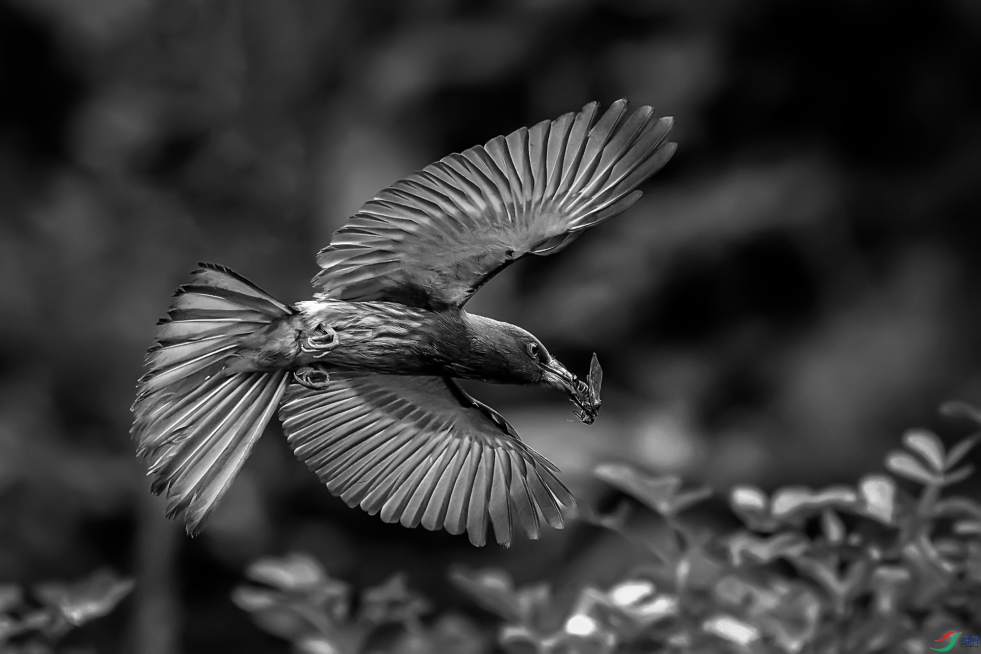 DSC_4769-1-1 ����.jpg