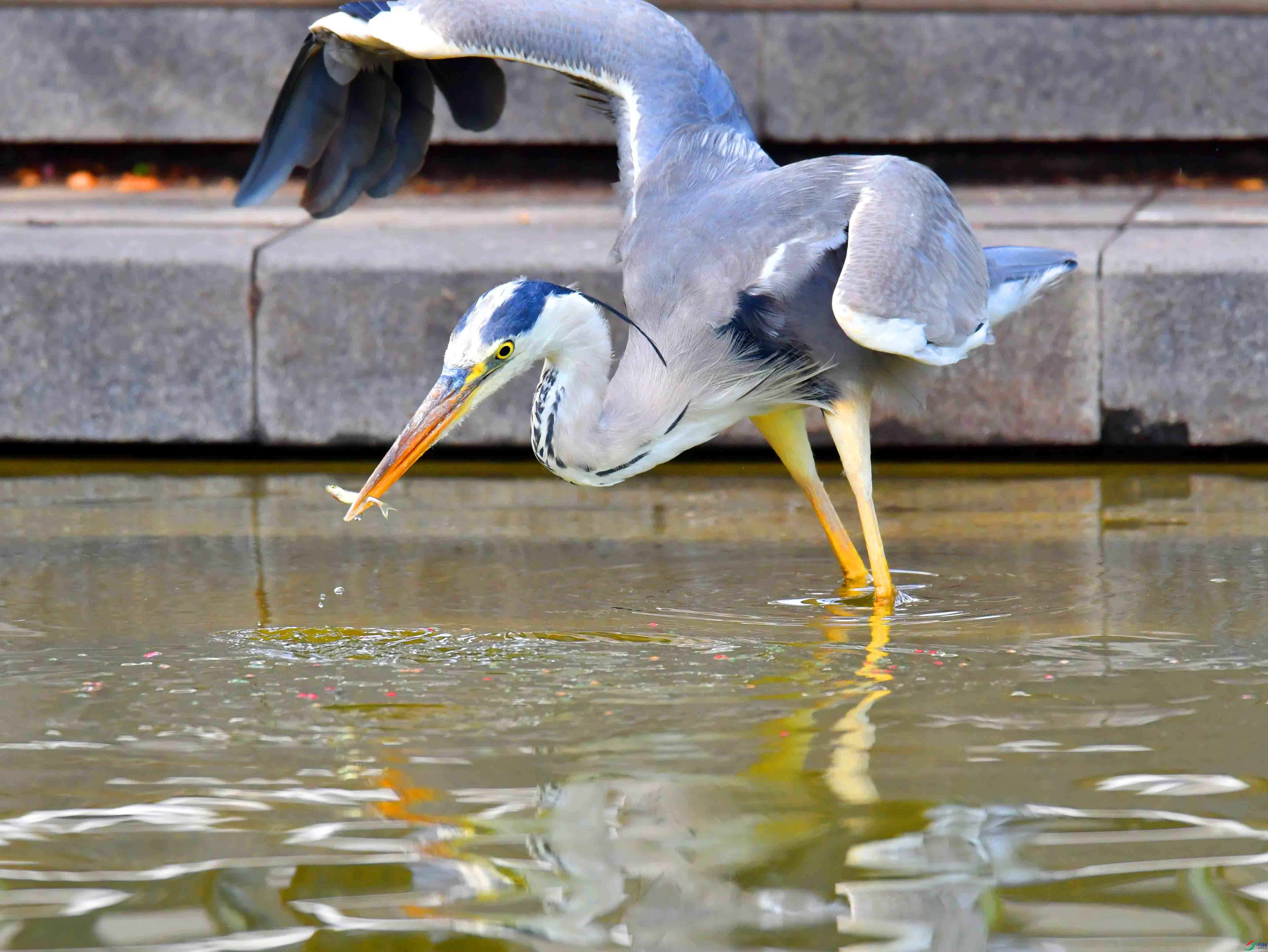 DSC_9969.JPG