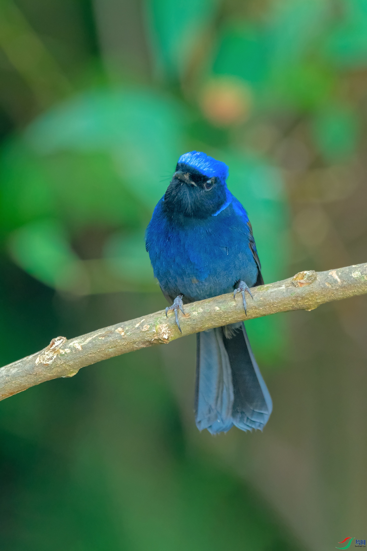 DSC_7489_DxOa.jpg