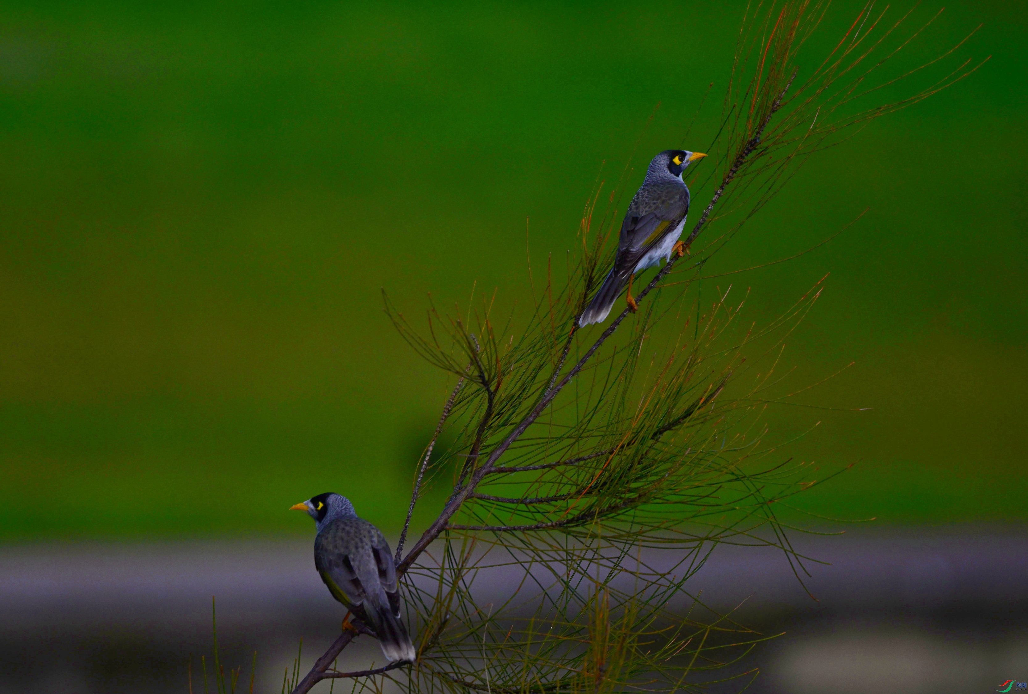 DSC_0717_��ͼ��_����.jpg