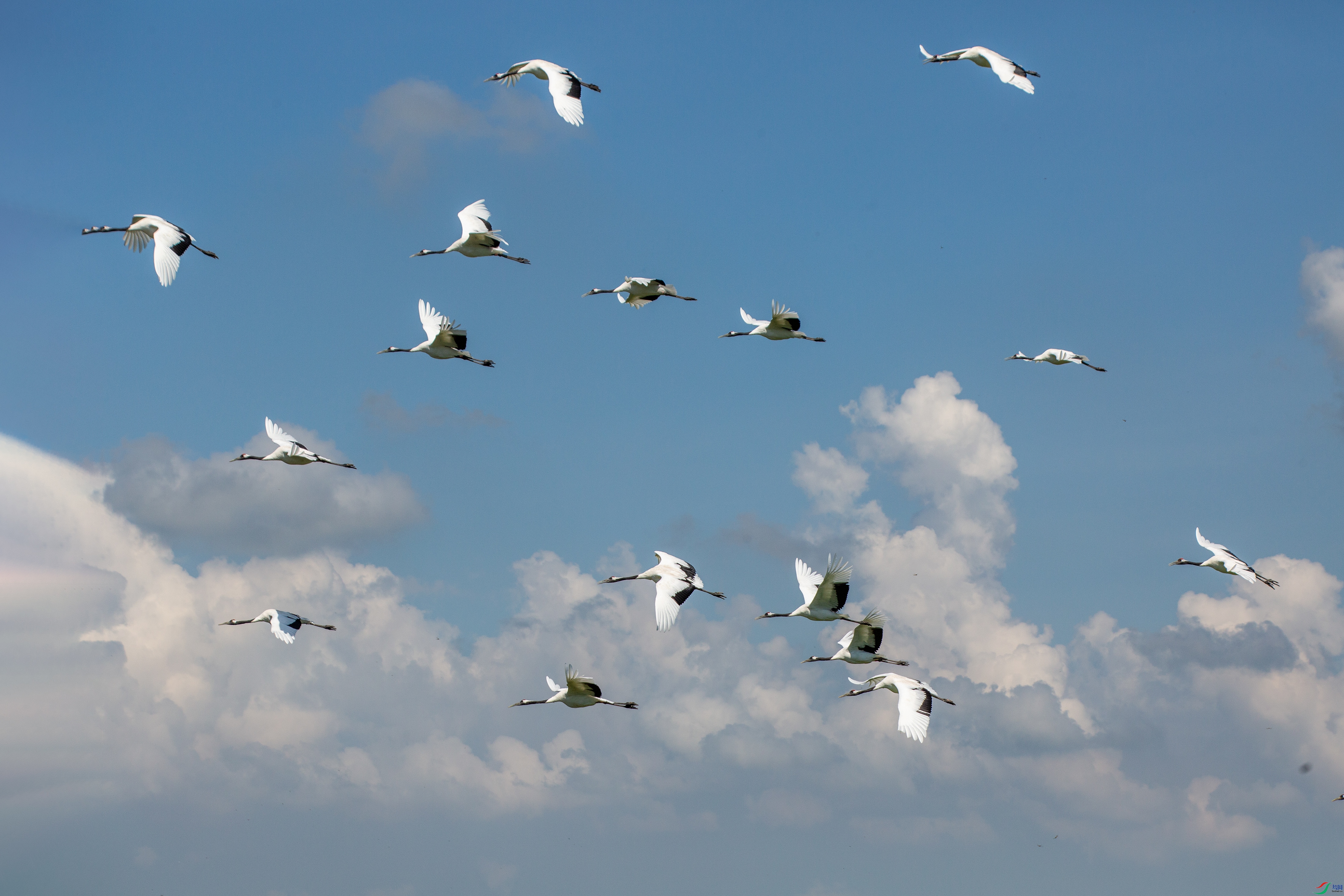 XT5A7690Ұ������26-6-23.jpg