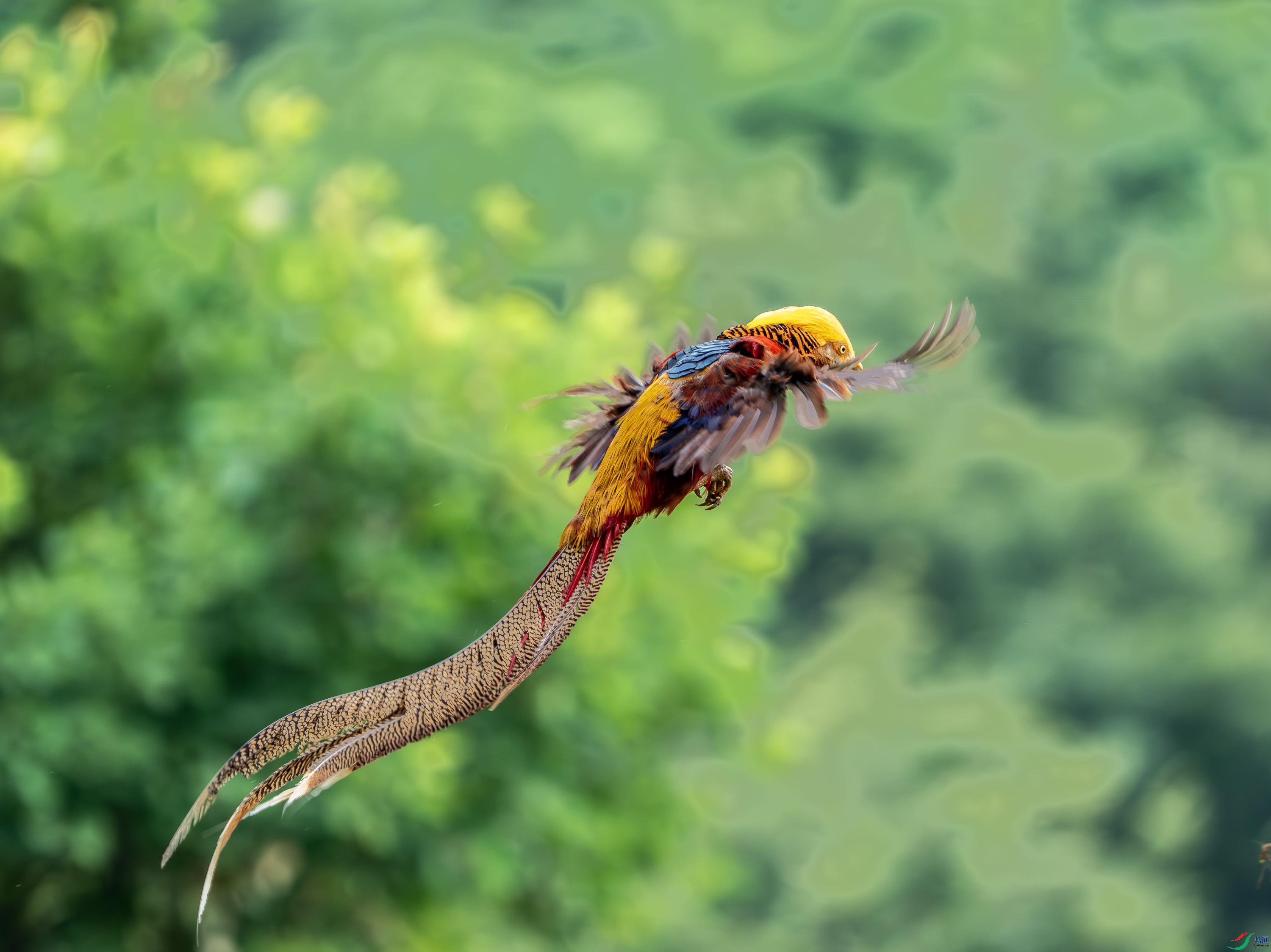 �츹����-33.jpg