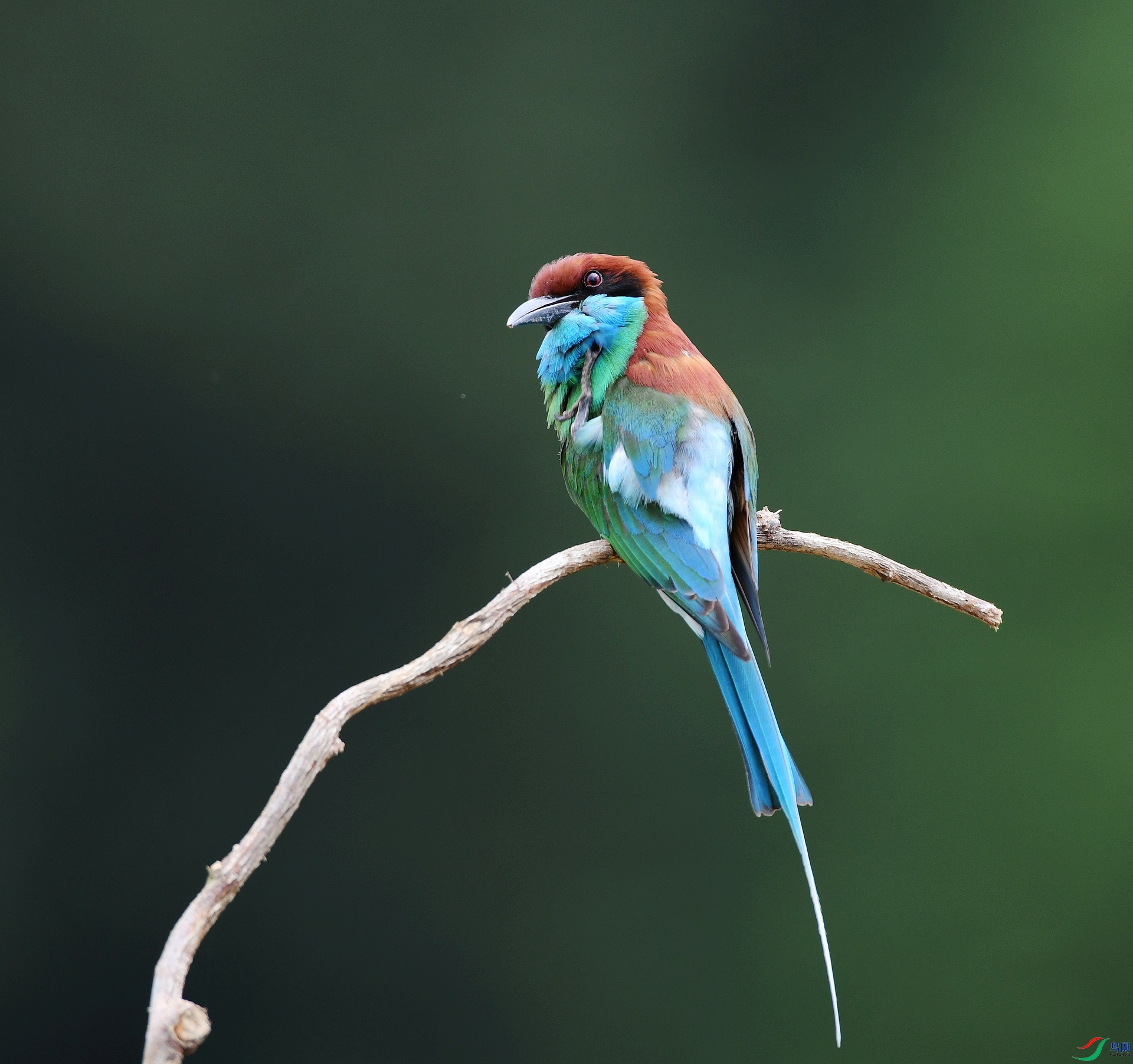 DSC_0745.jpg