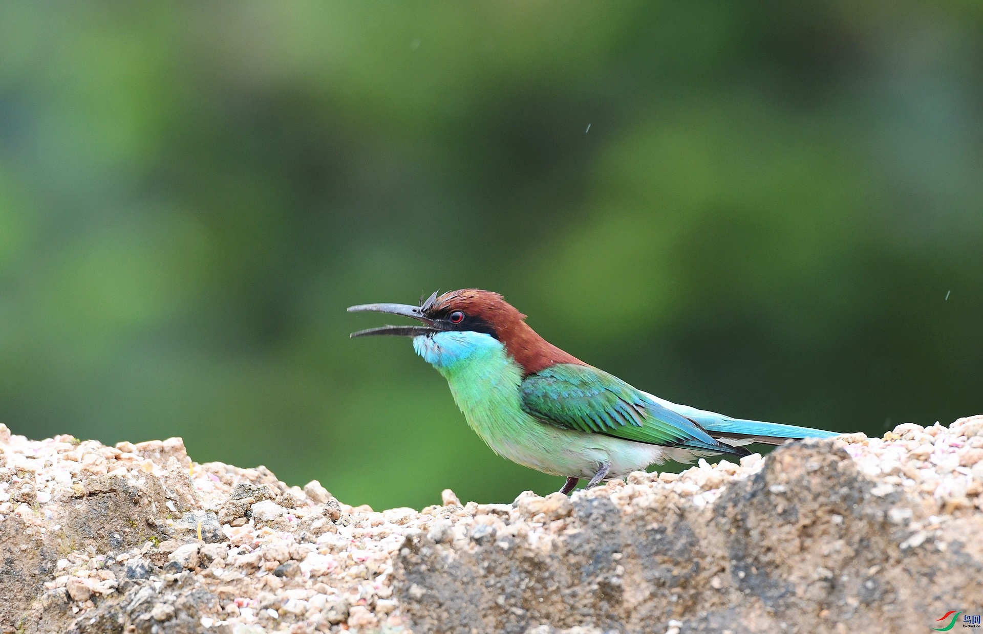 DSC_5571.jpg