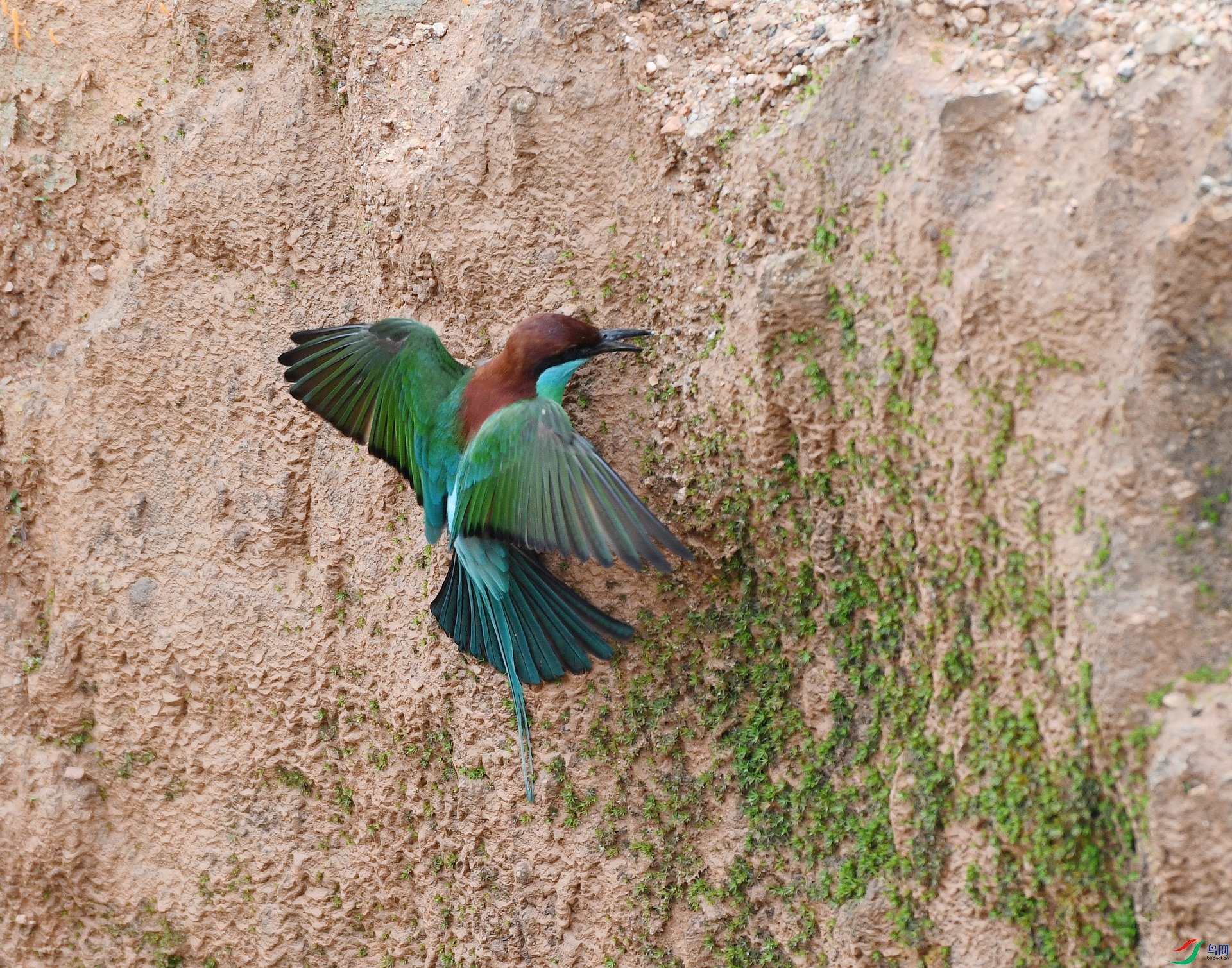 DSC_0292.jpg