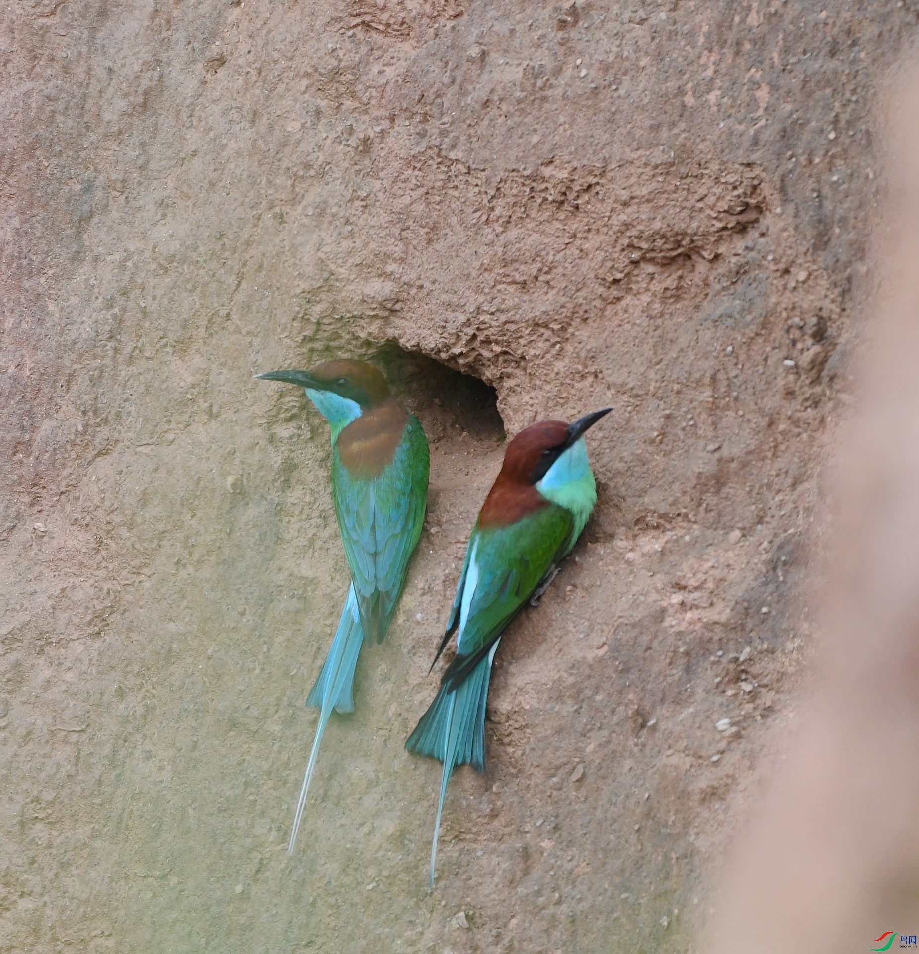 DSC_0233.jpg