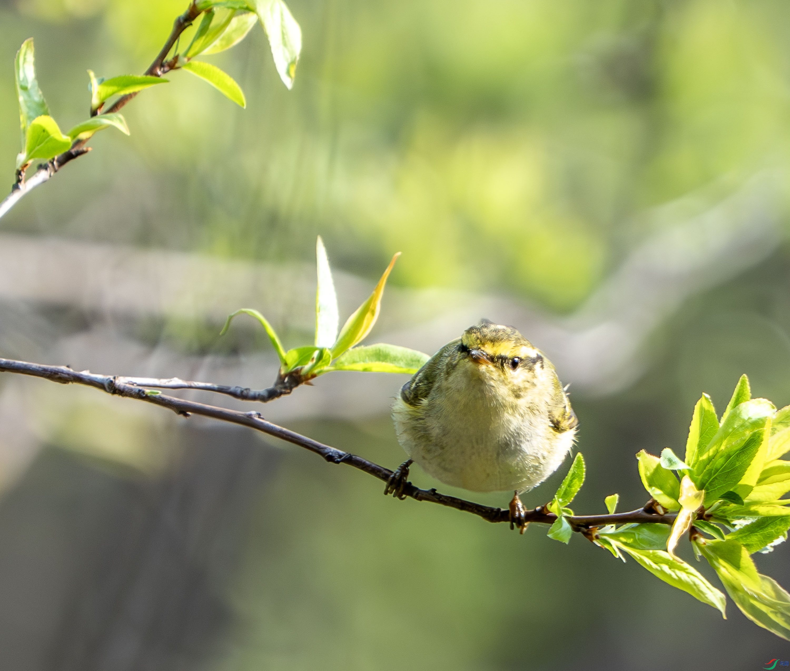 ������ݺ-18.jpg
