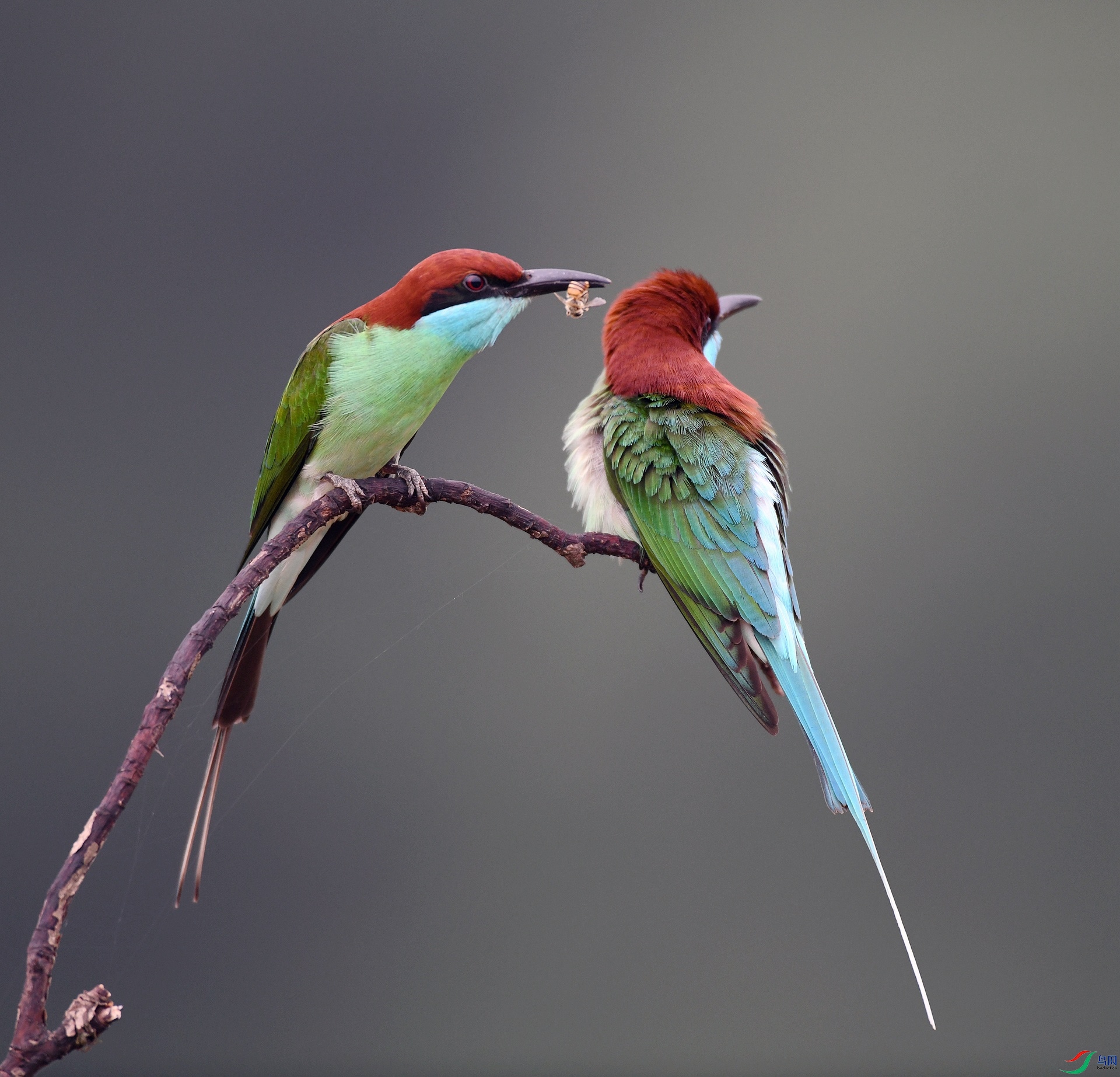 DSC_9145.jpg