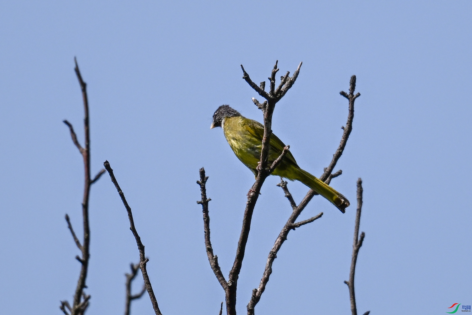 DSC_4533.JPG
