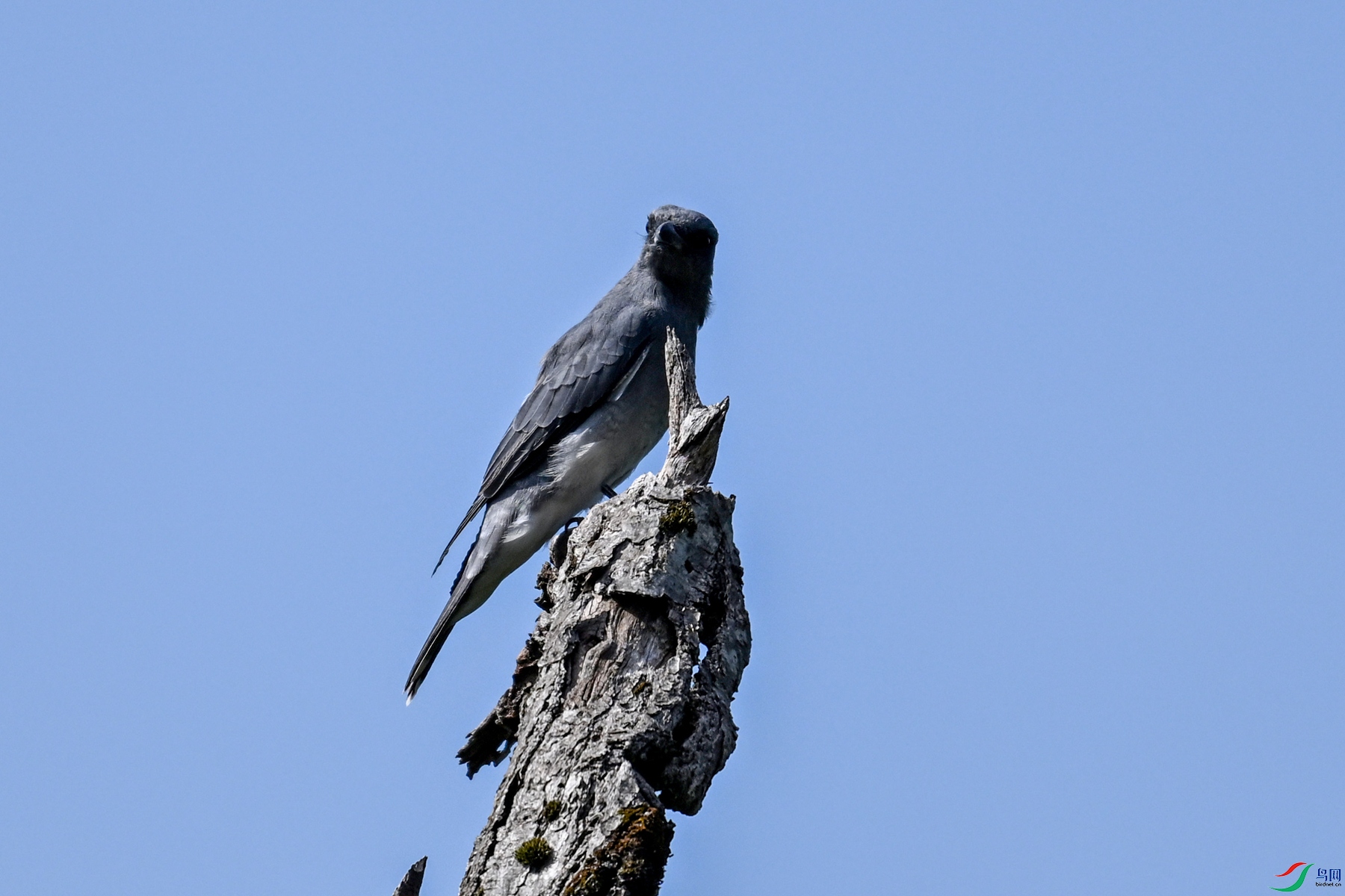 DSC_4544.JPG