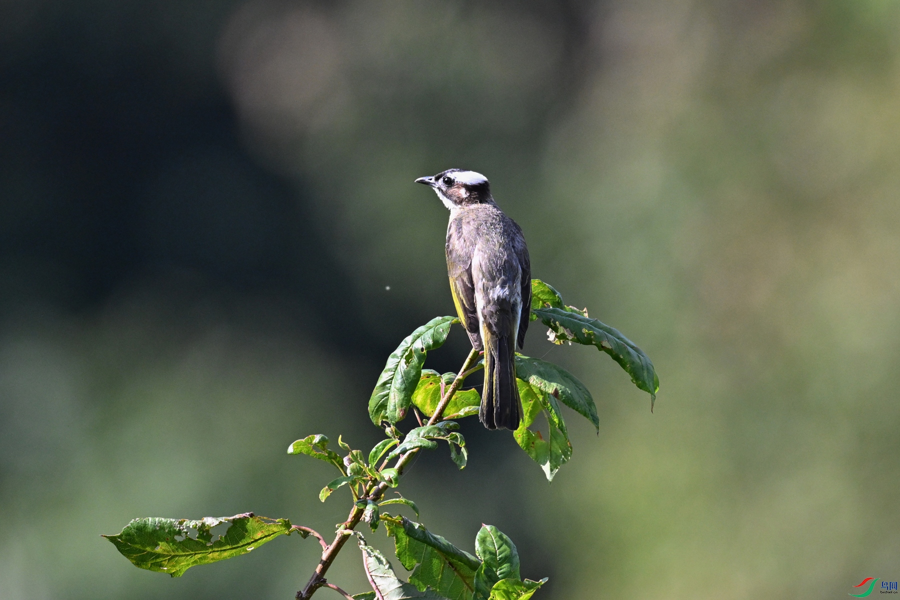 DSC_4509.JPG