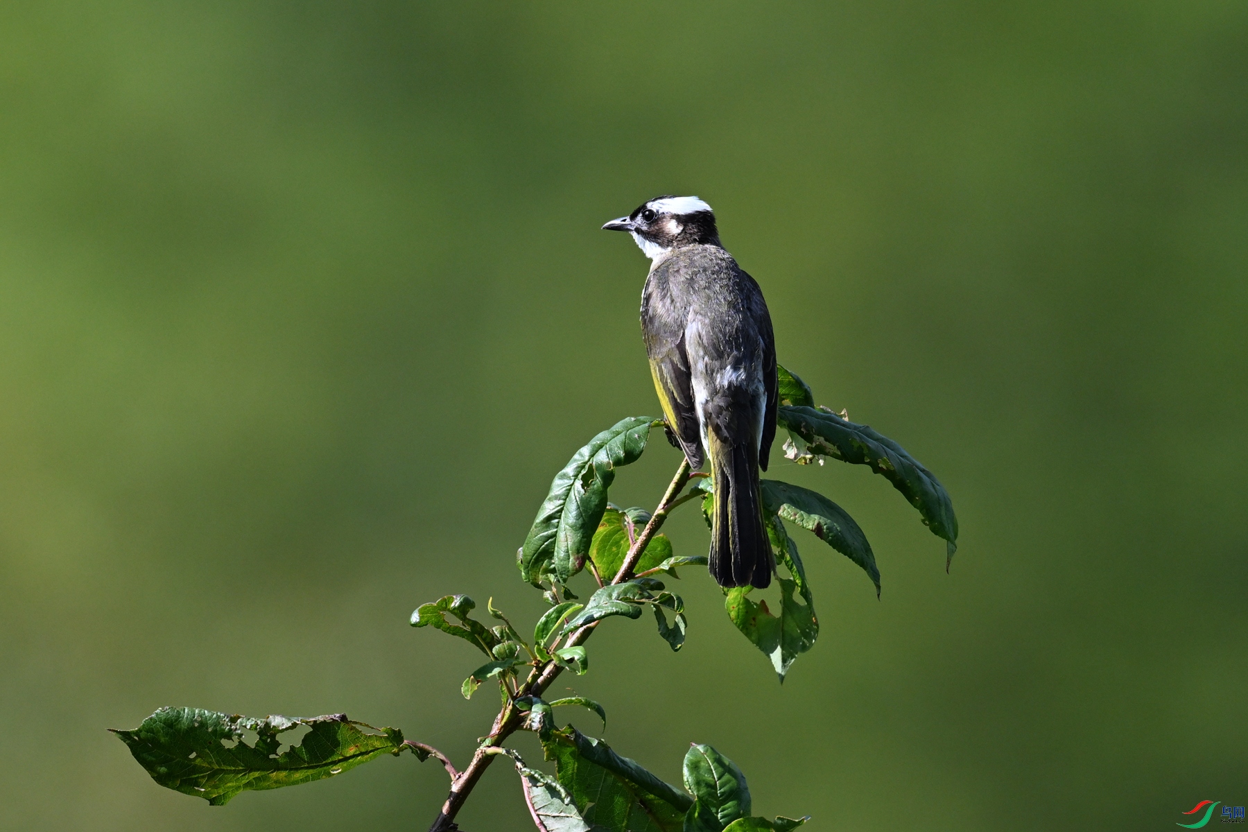 DSC_4511.JPG