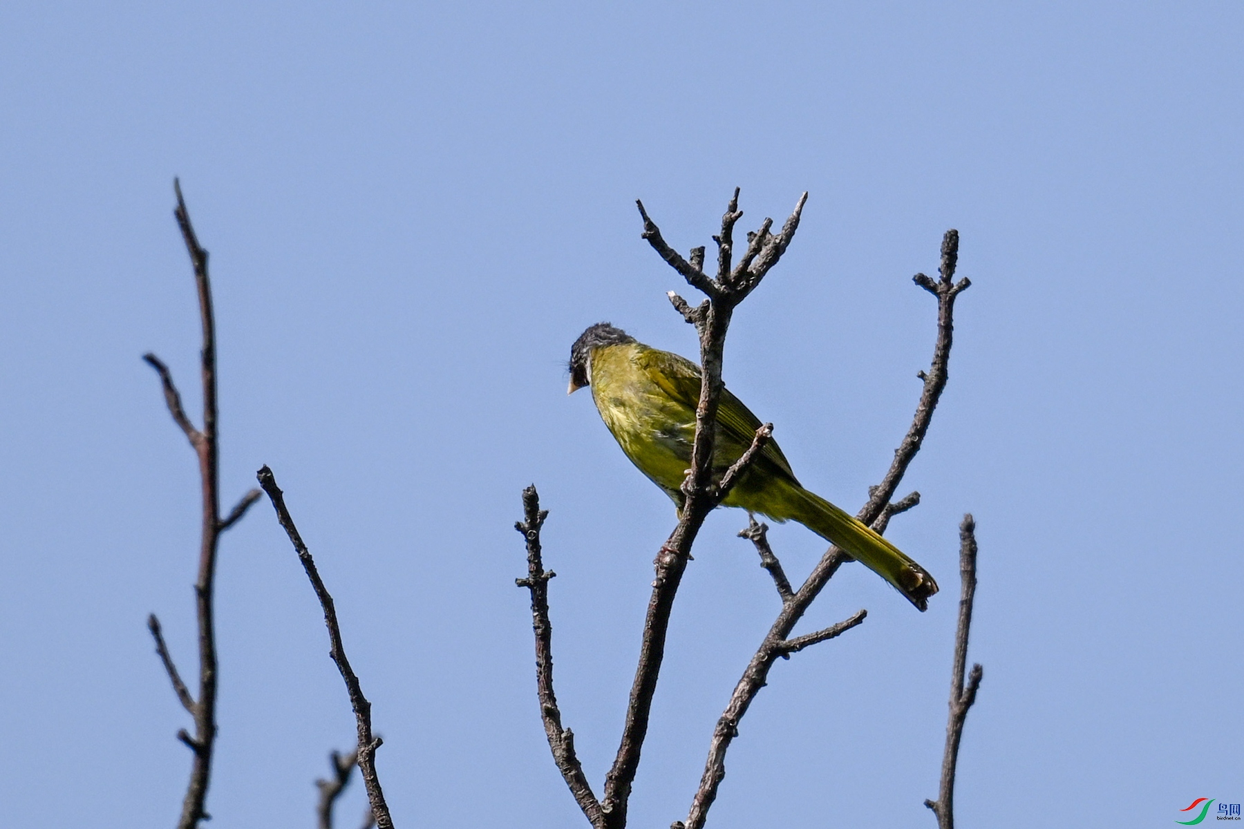 DSC_4534.JPG