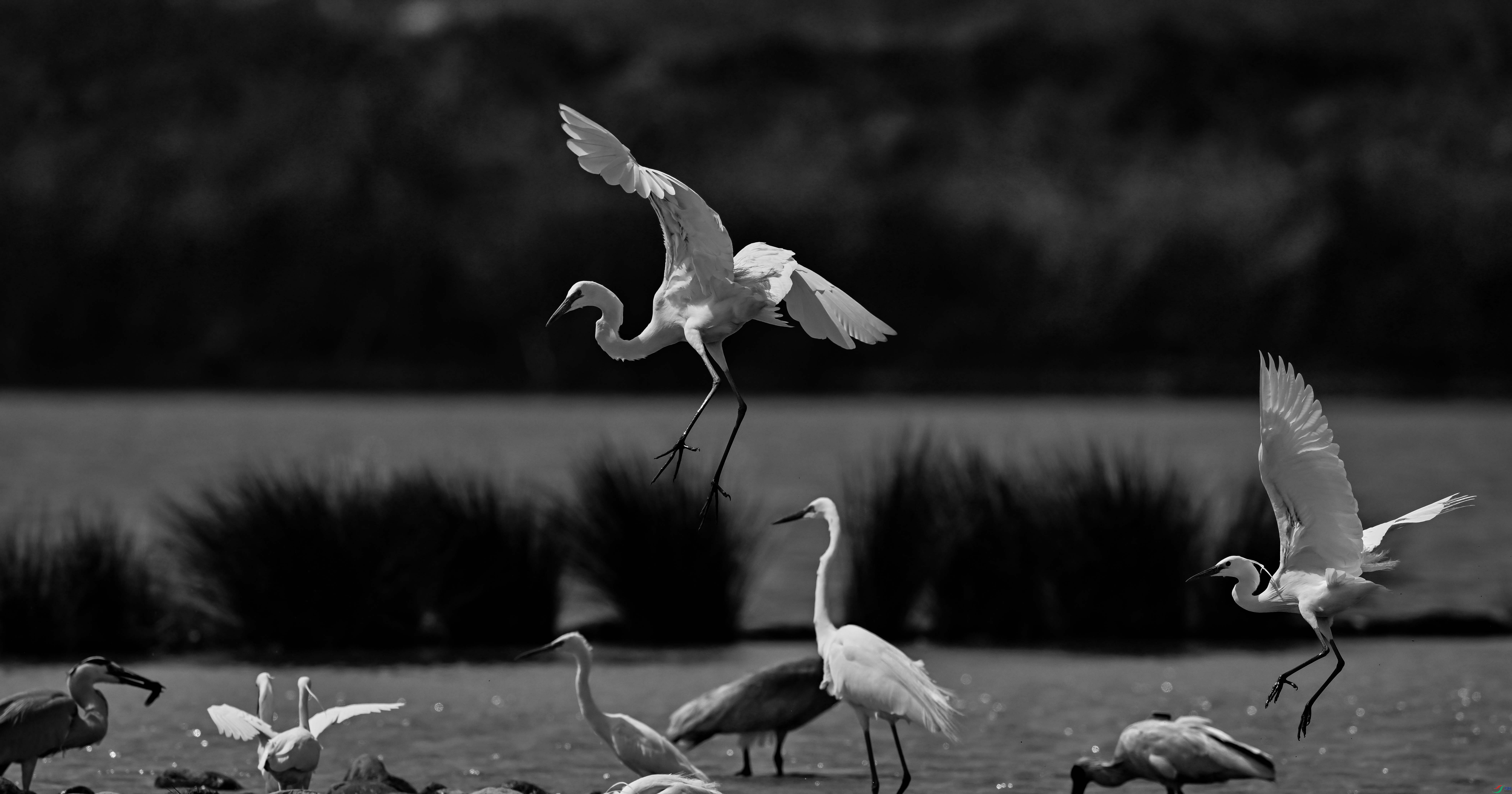 DSC_0749.jpg