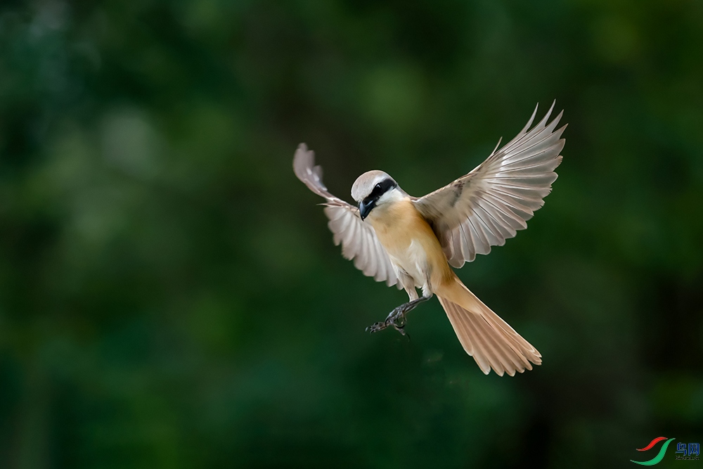 2E9A7490-5.jpg