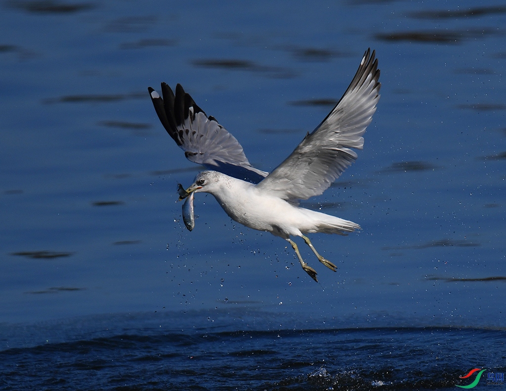 DSC_9114.JPG