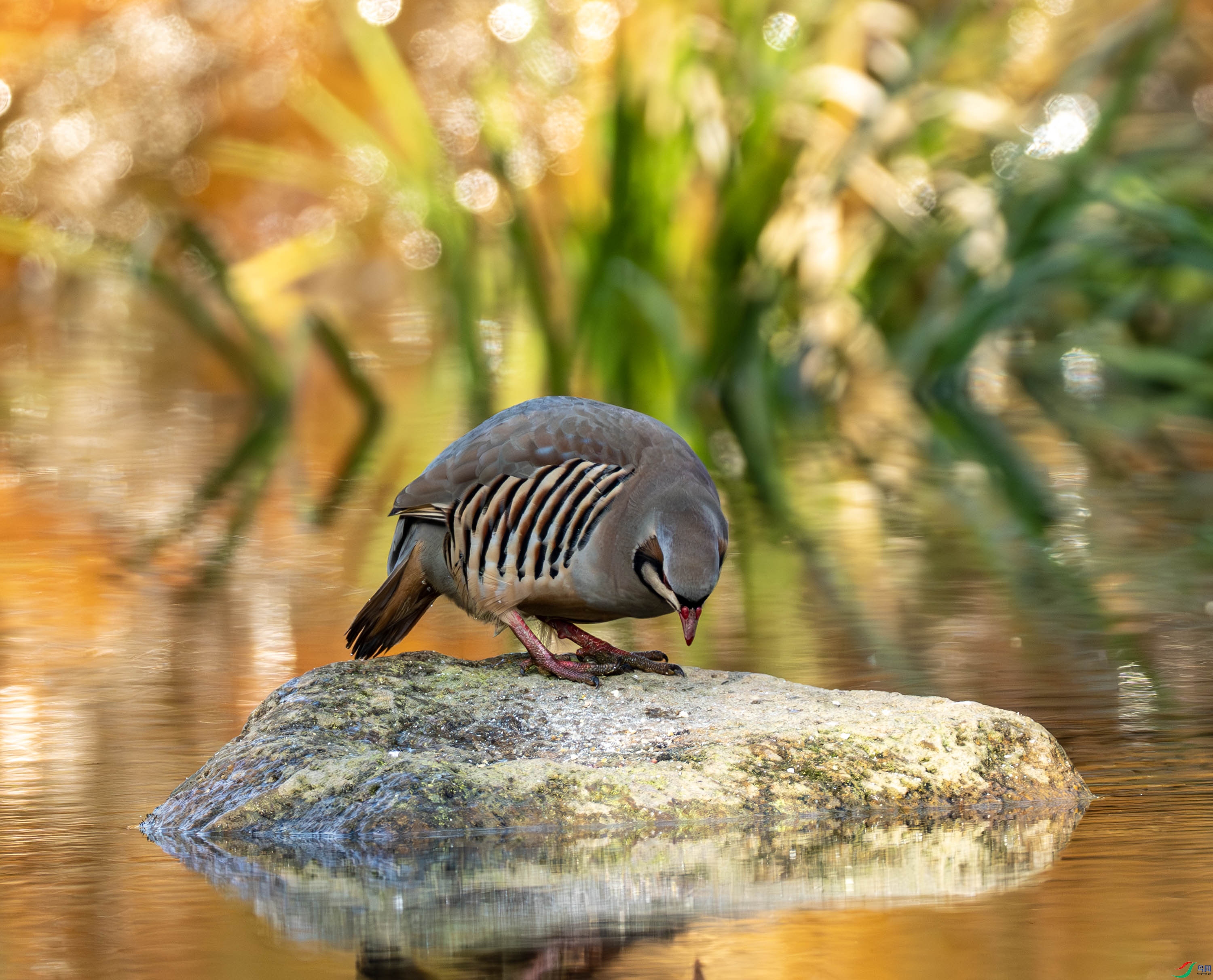 ʯ��-02-7.jpg