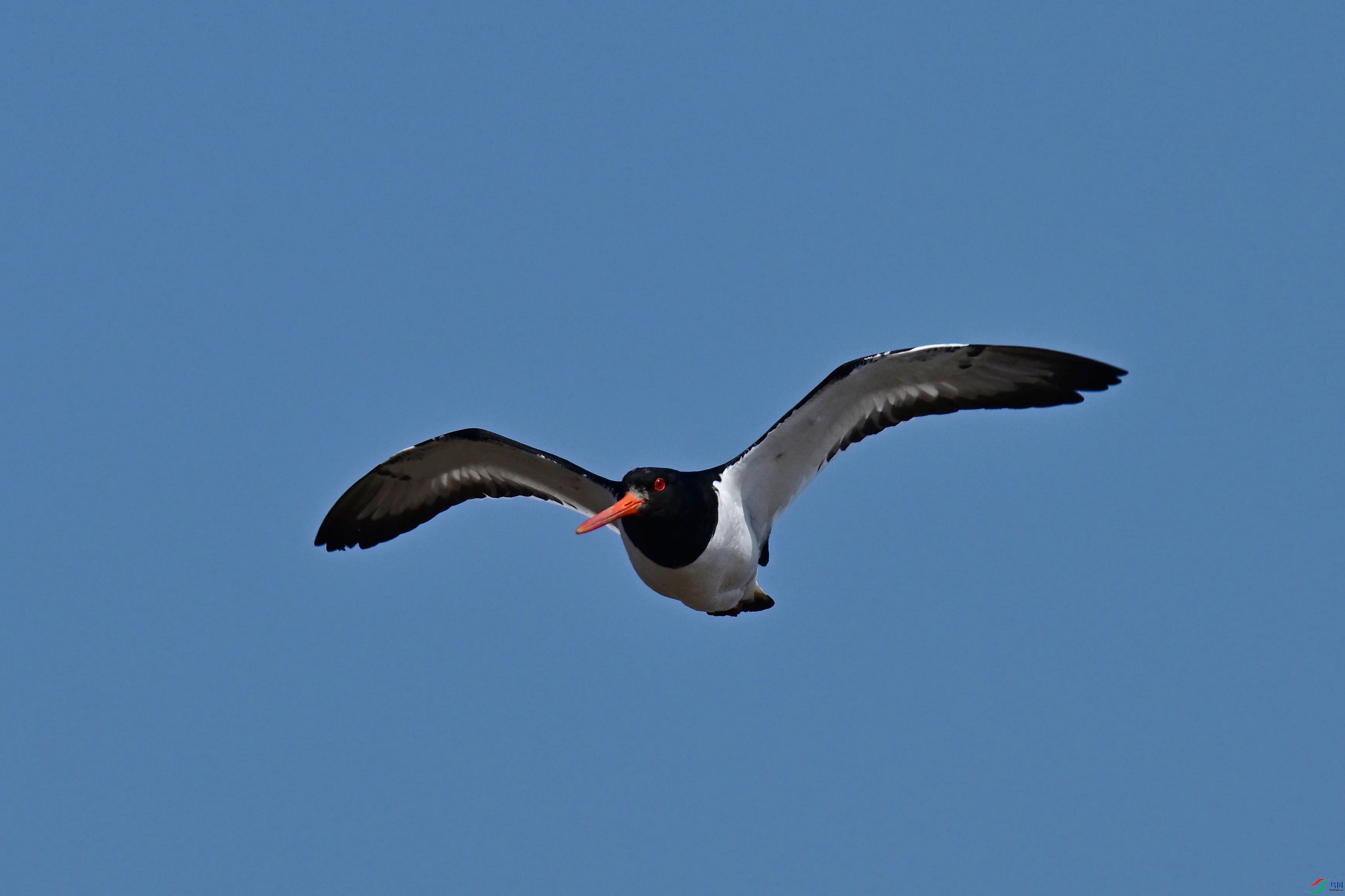 DSC_1540_����.jpg