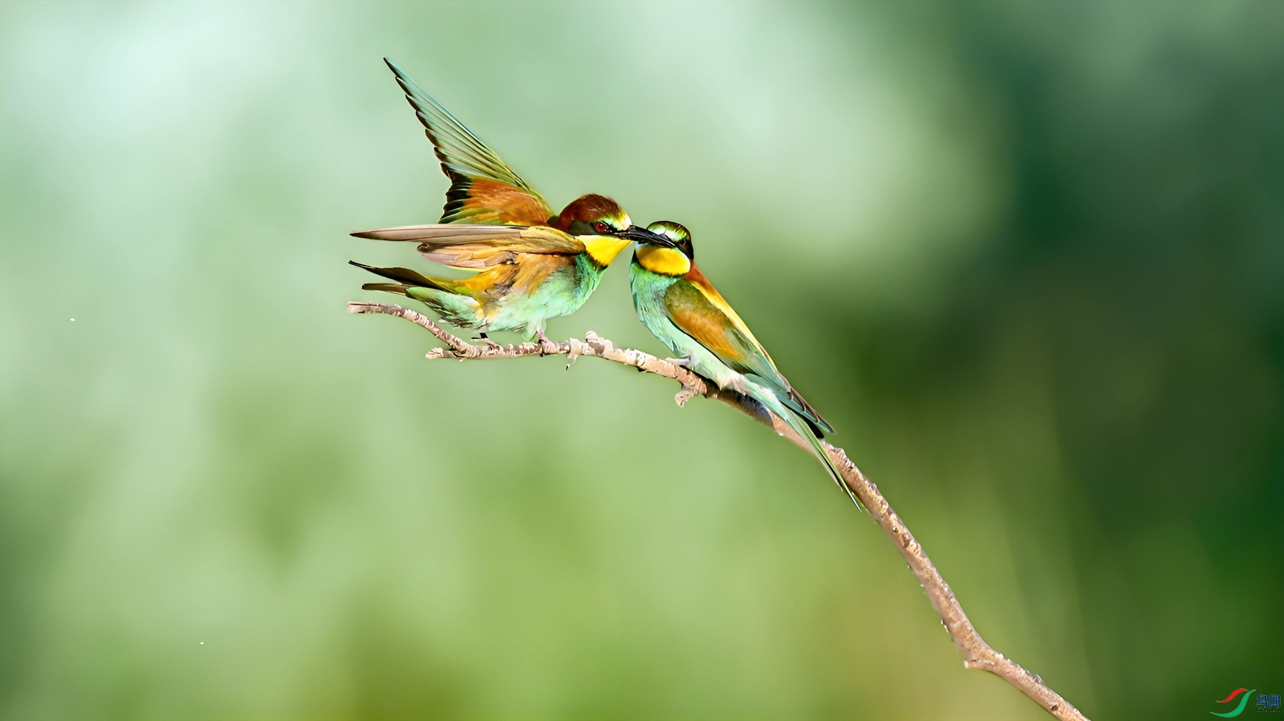 _DSC3586_����.jpg�����మ_����.jpg