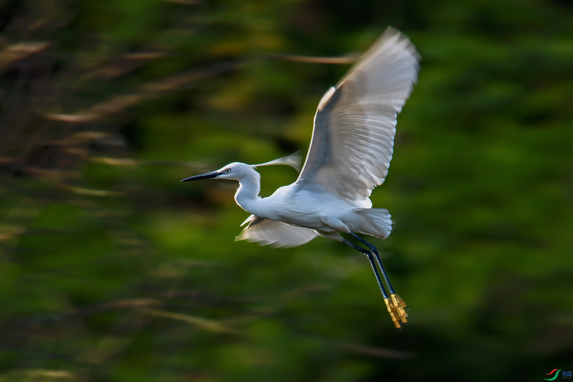 DSC_7547a.jpg