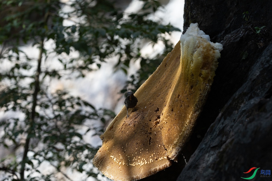 0B0A6242Bb.jpg