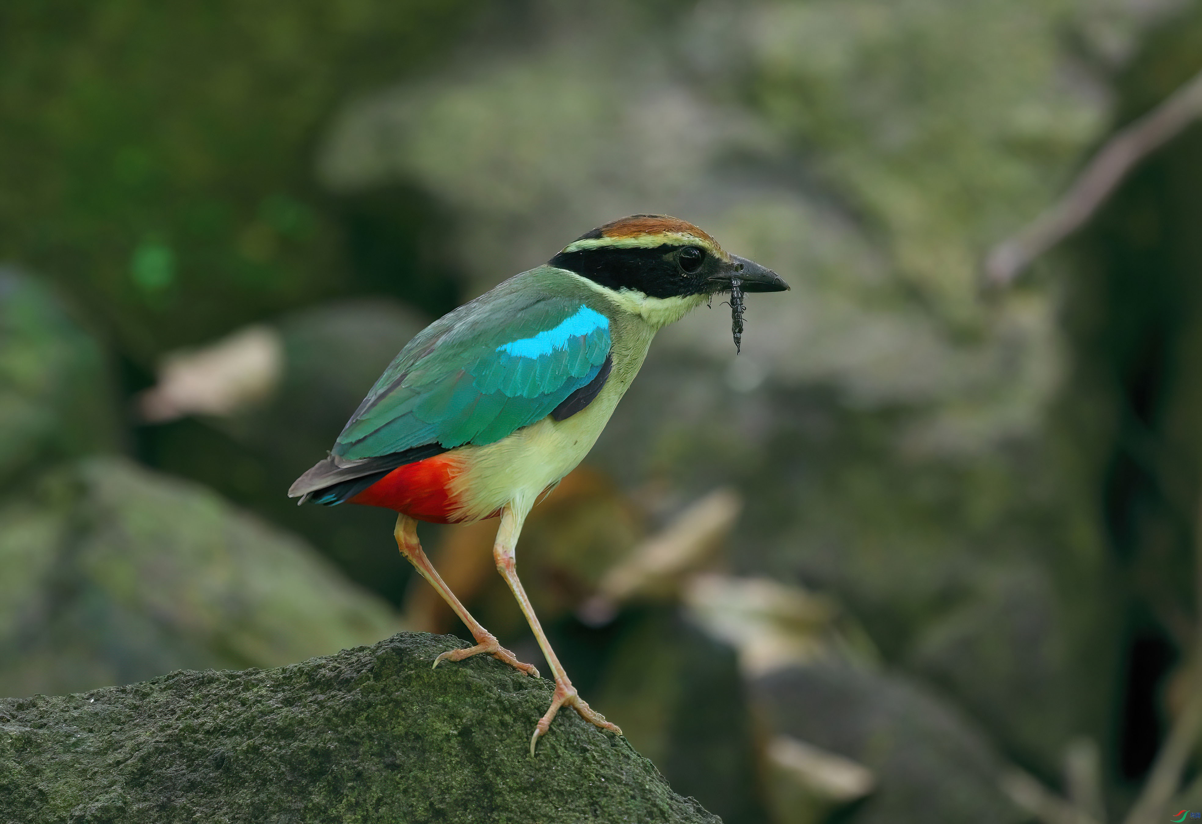 DSCF9517-Dsp.jpg