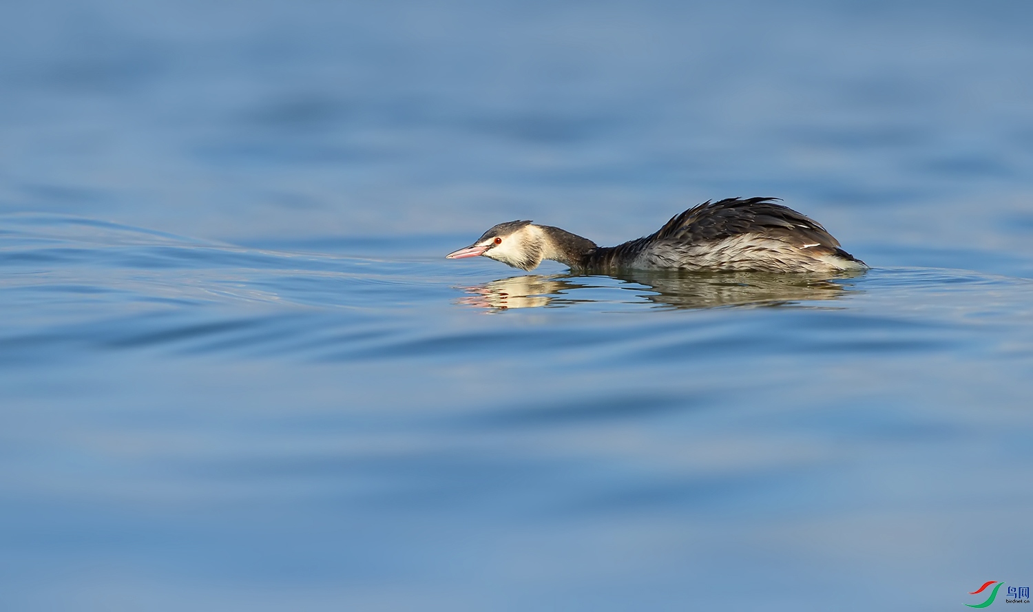 DSC_97571.jpg