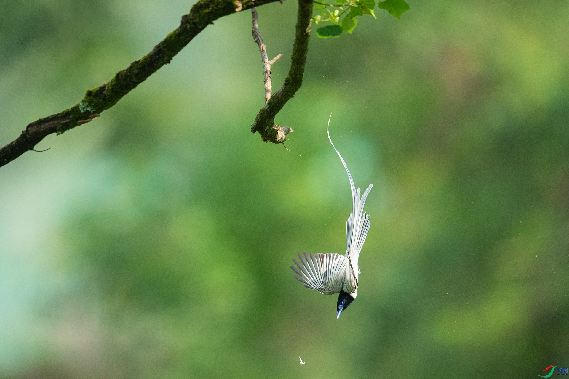 DSC_0782.jpg