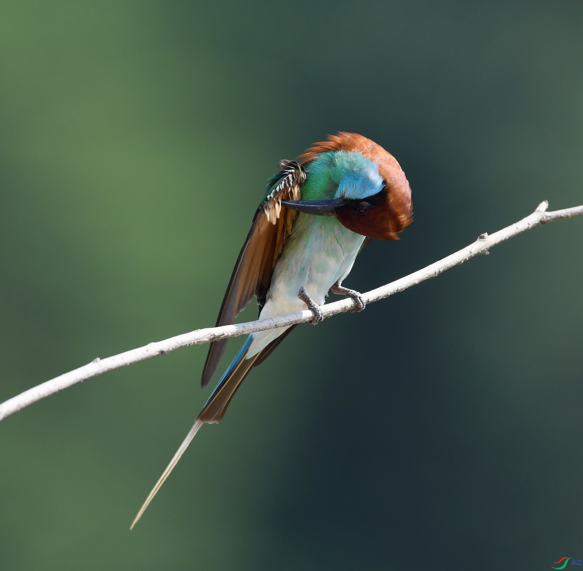 DSC_1454.jpg