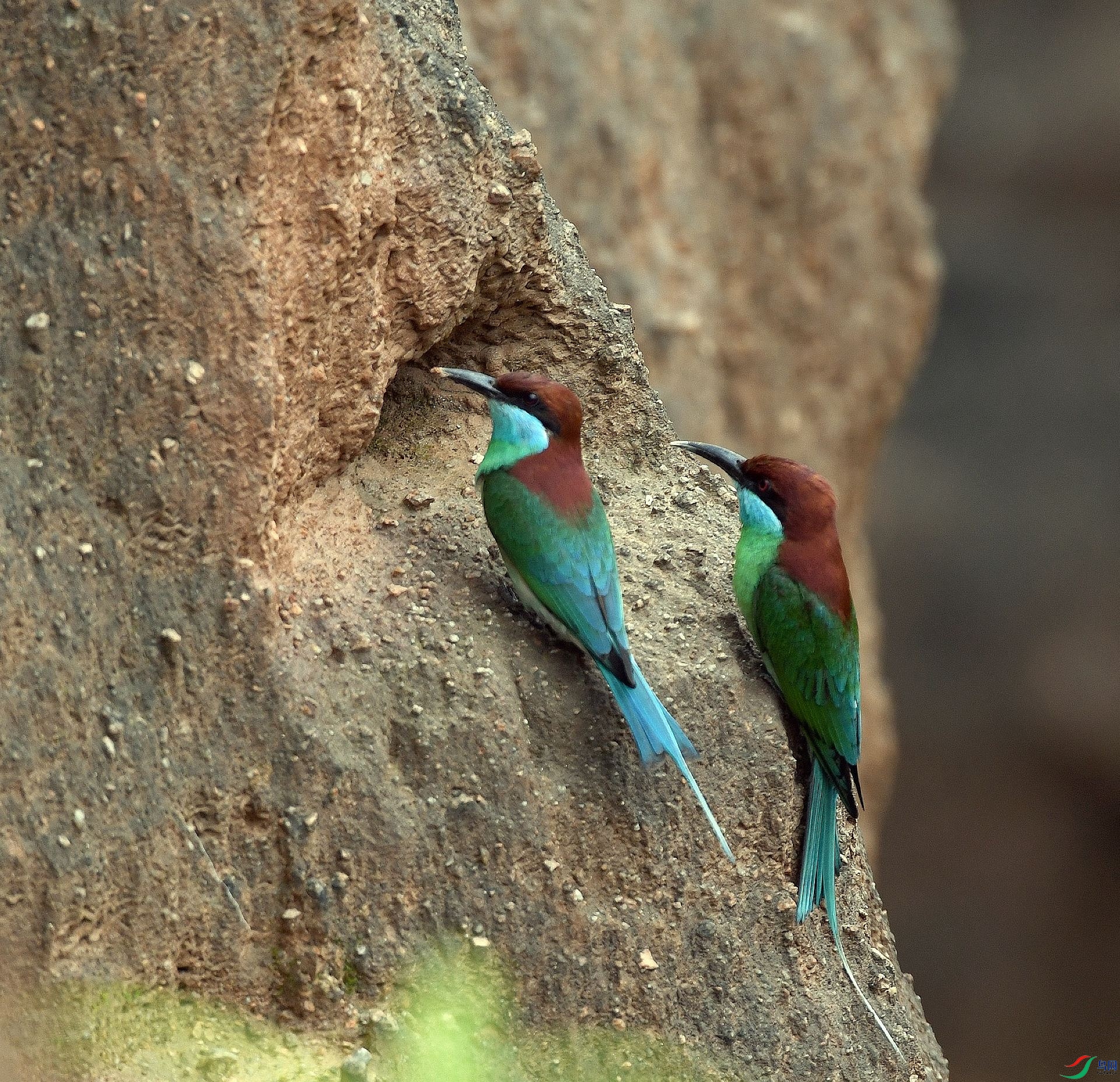 DSC_0423.jpg