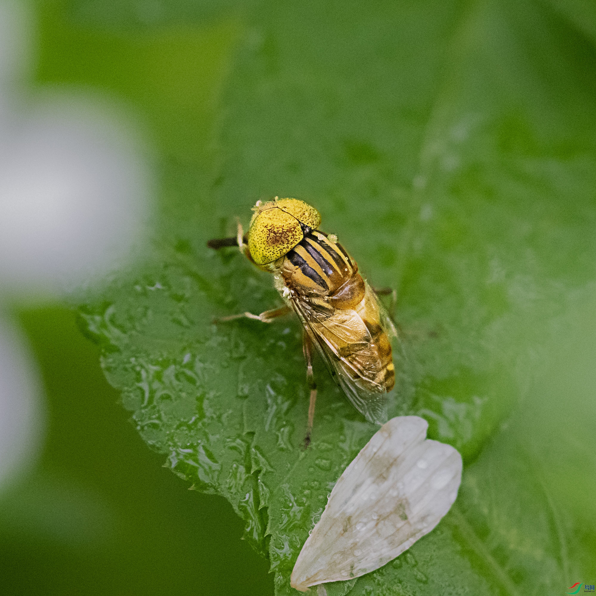 DSC_4279.jpg