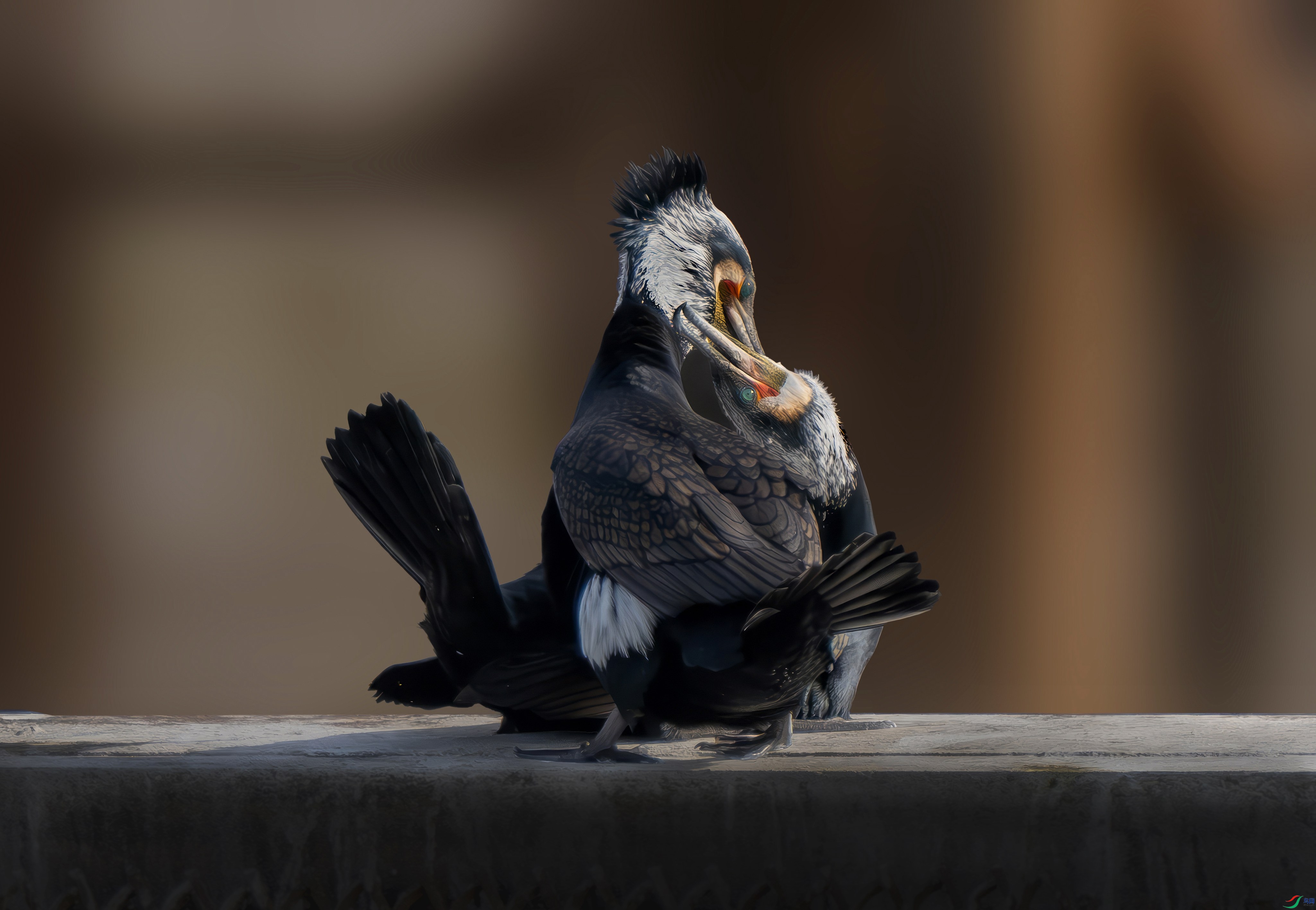 DSC_1876.jpg