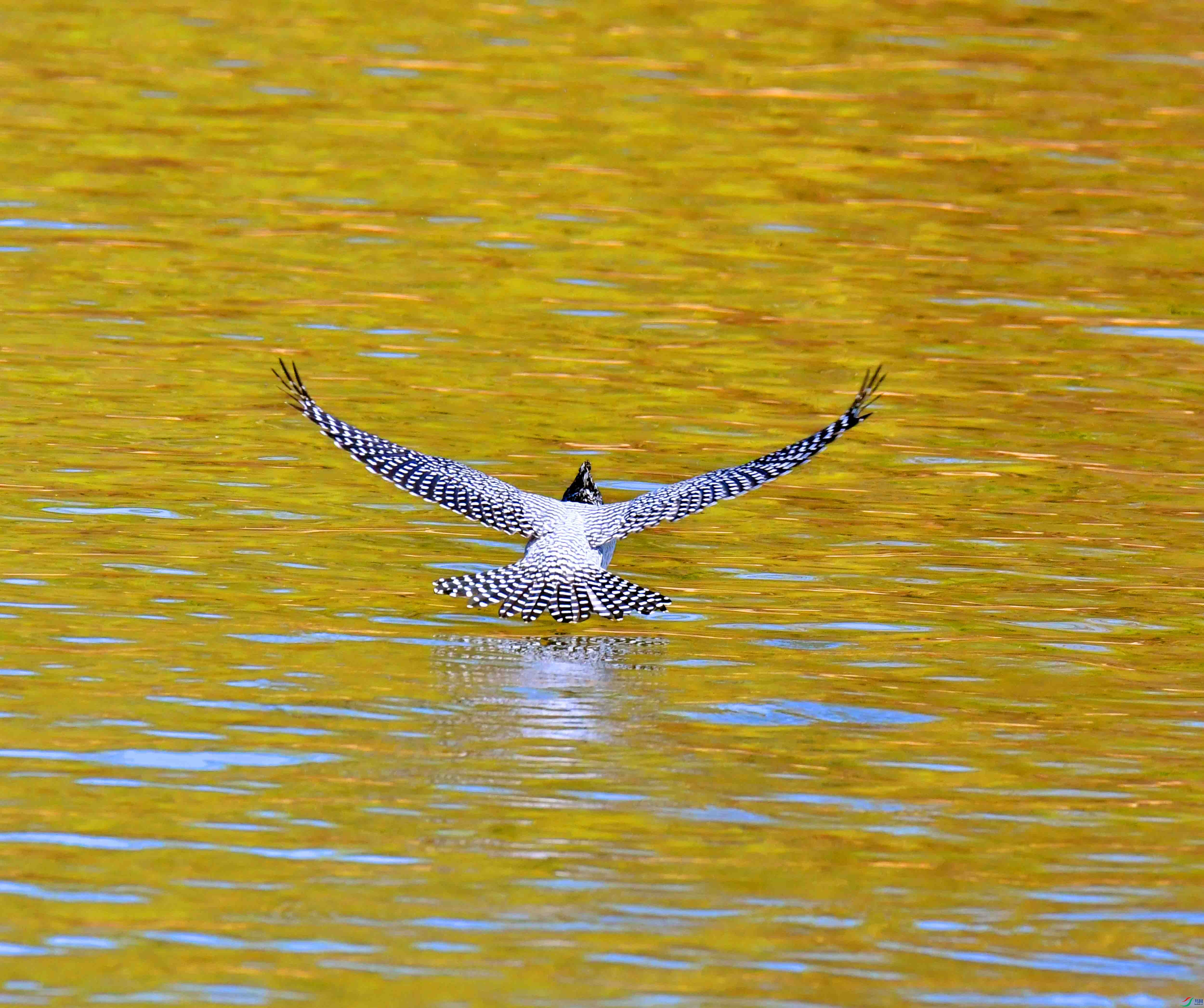 DSC_0867.JPG