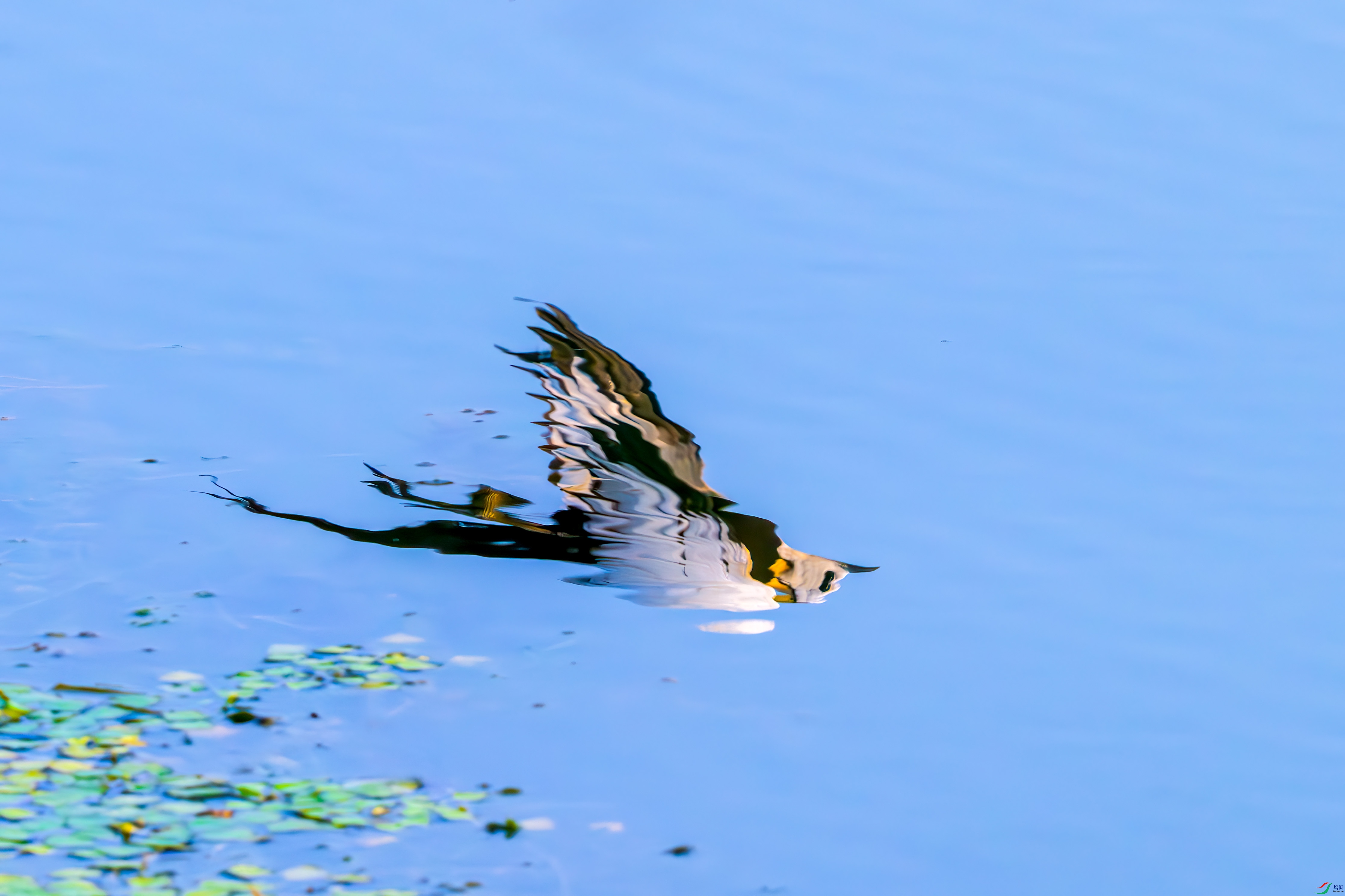 _DSC1788.jpg