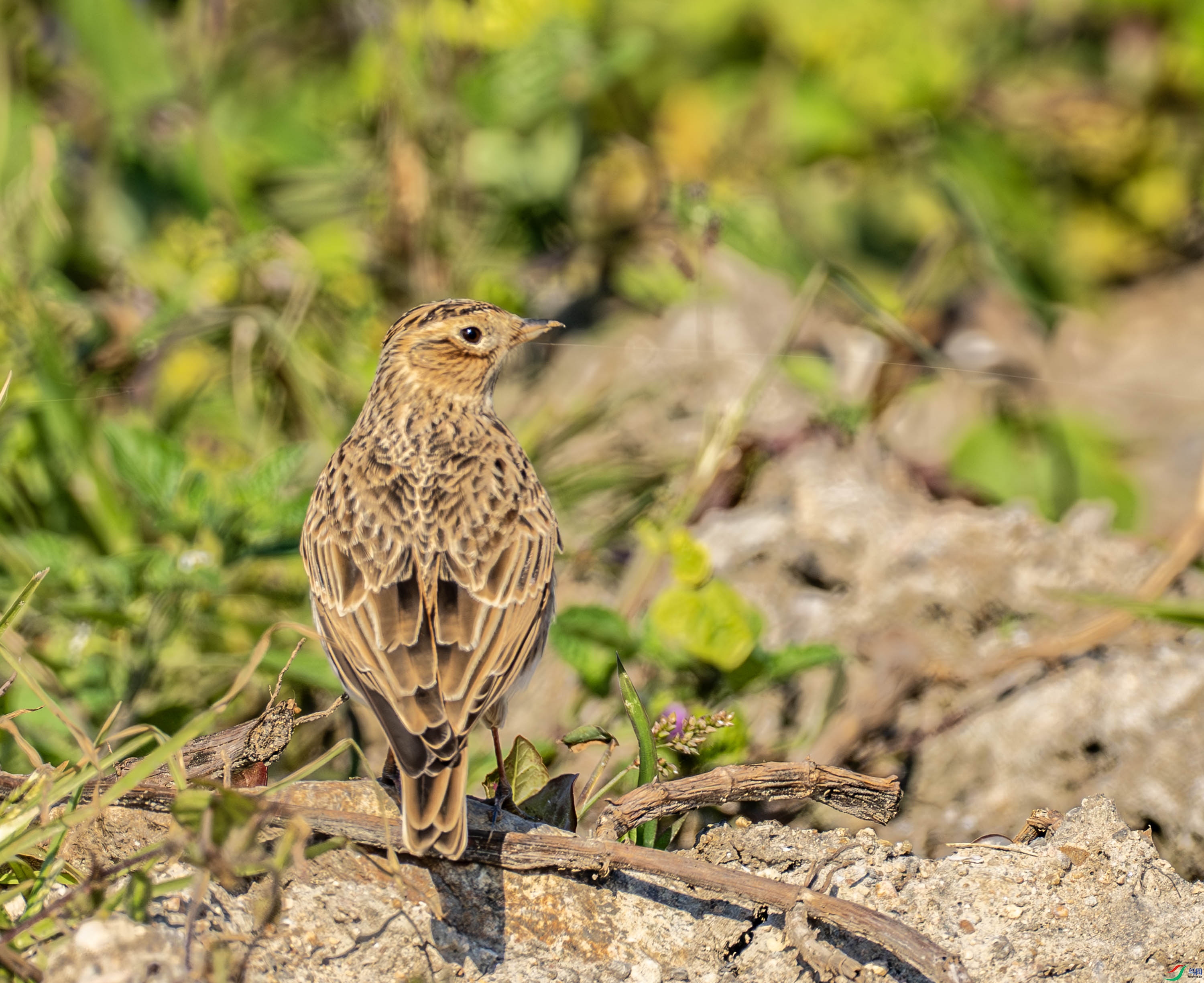 ��ȸ-03-41.jpg