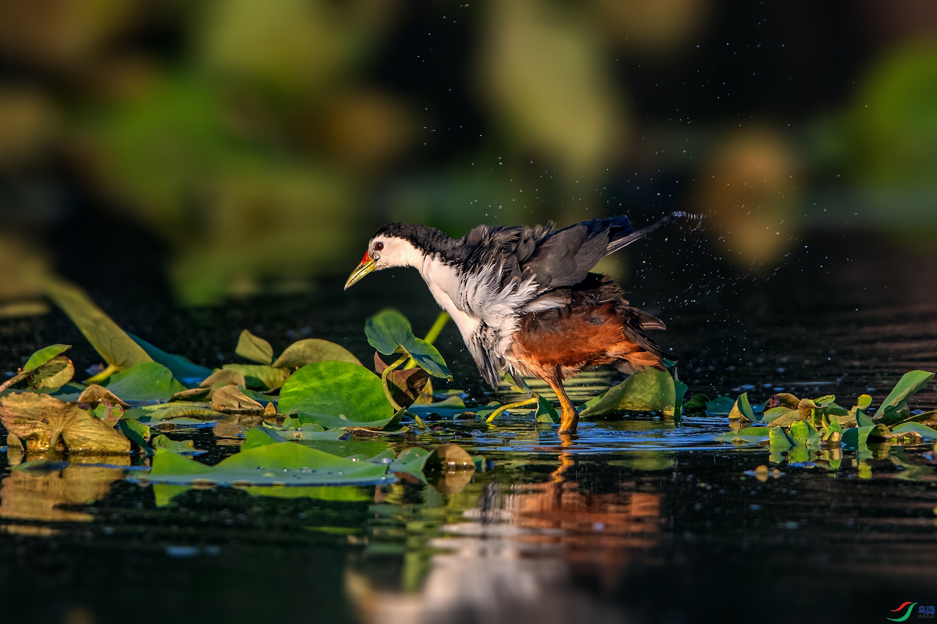 _AUU3397ϴ����(24.5.6).jpg