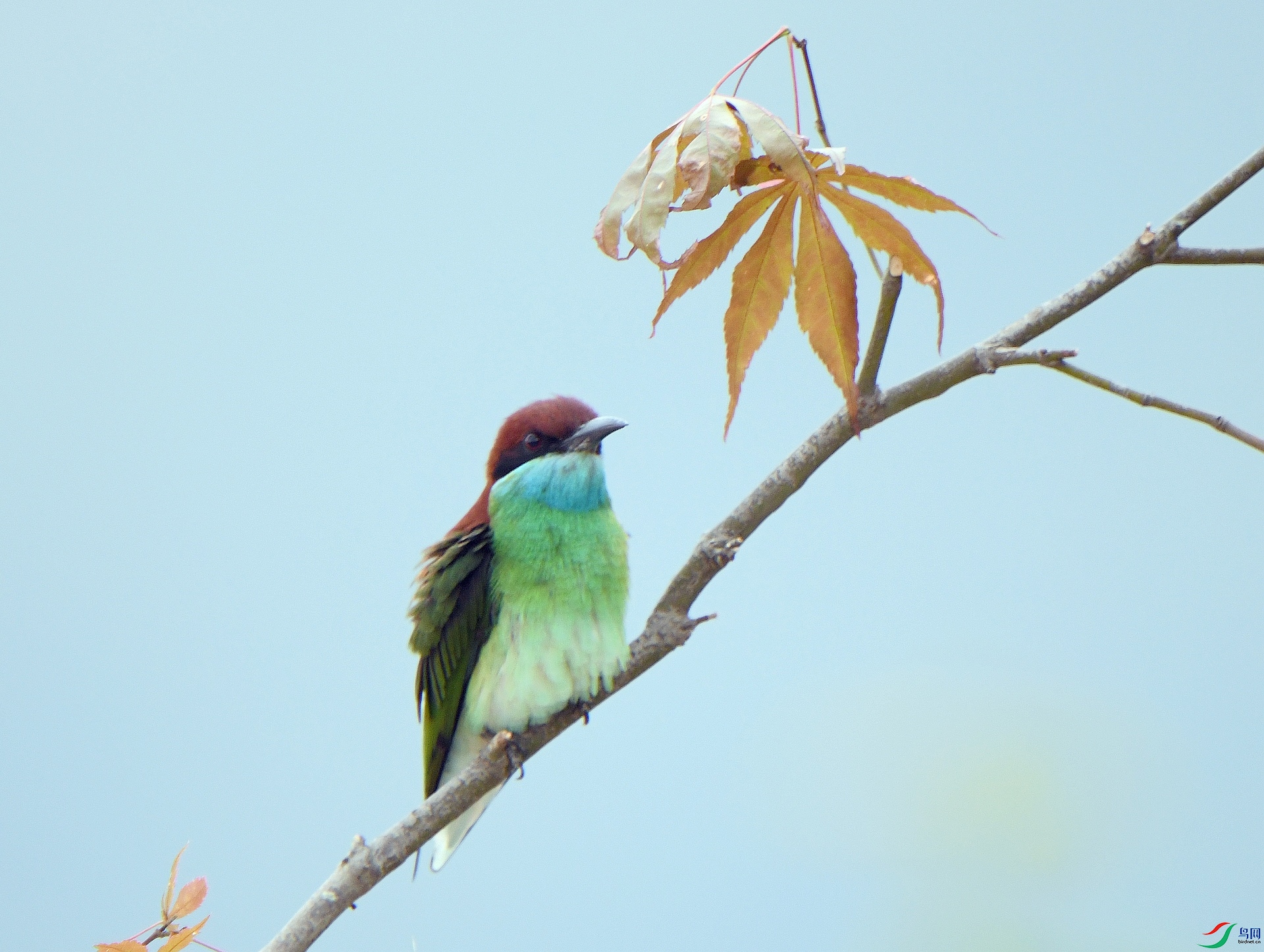 DSC_5598.jpg