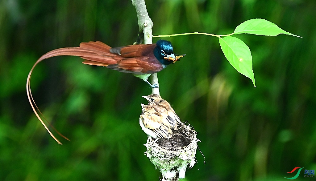 DSC_0314.JPG