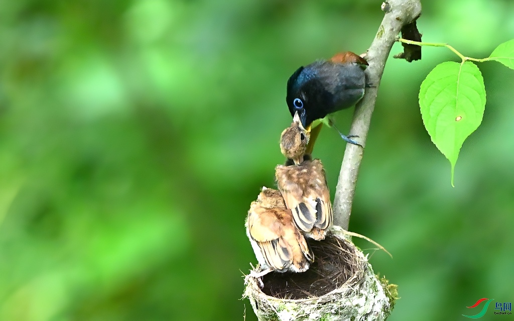 DSC_0713.JPG