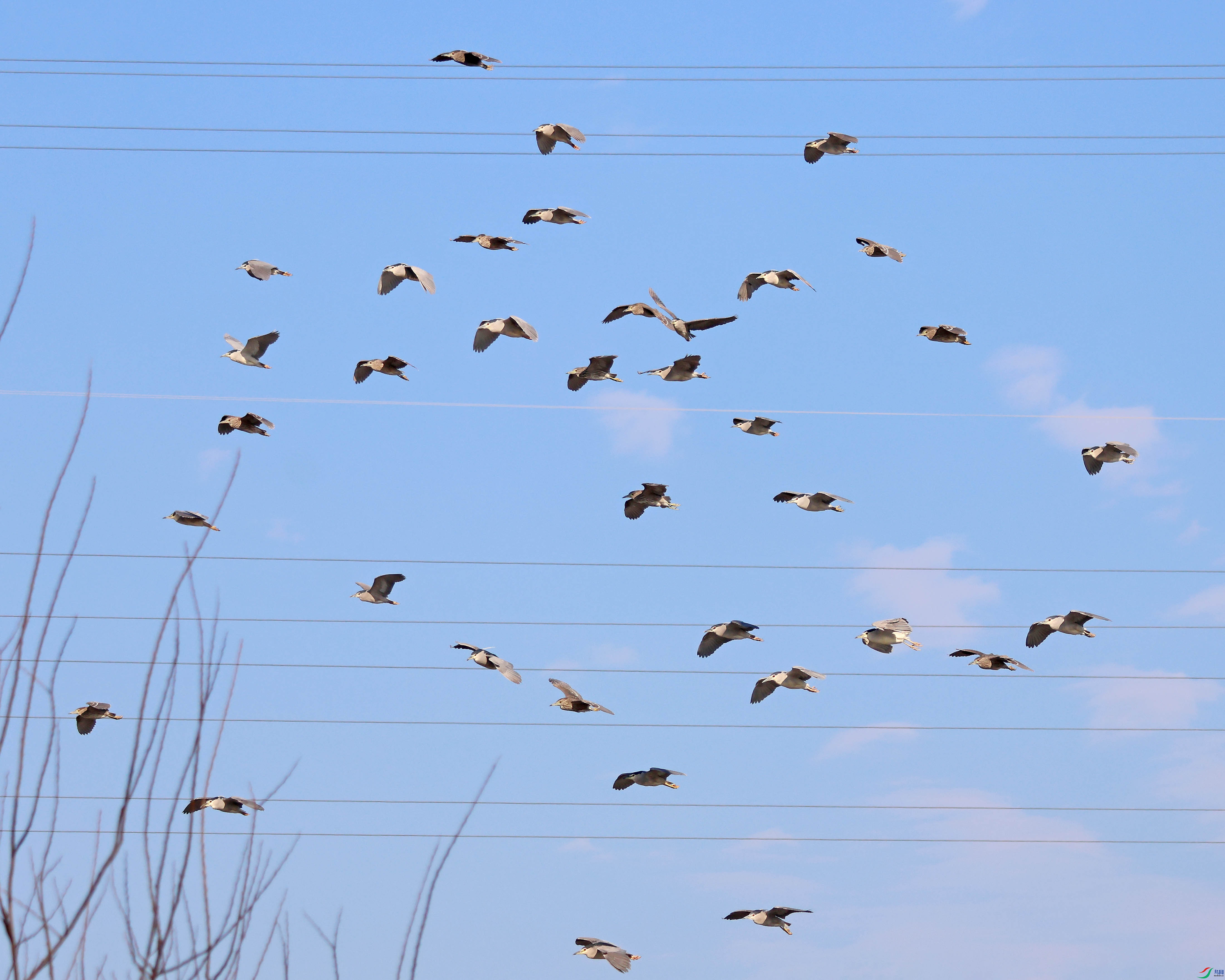 2G9A0885.JPG