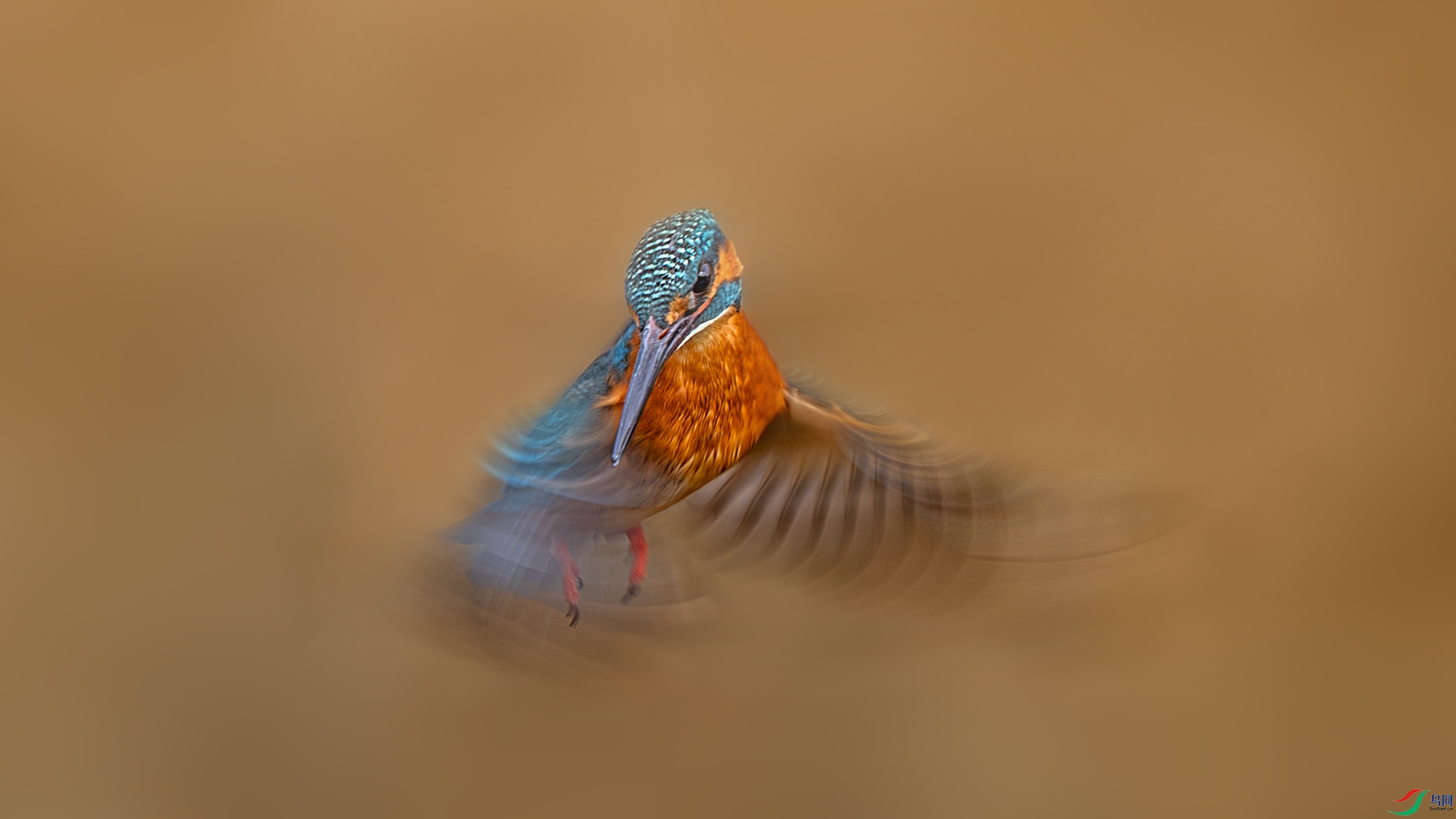4017.jpg