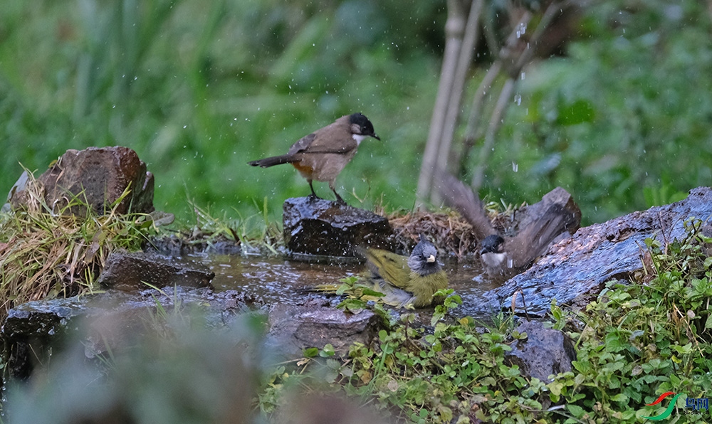 DSCF8075.1.jpg