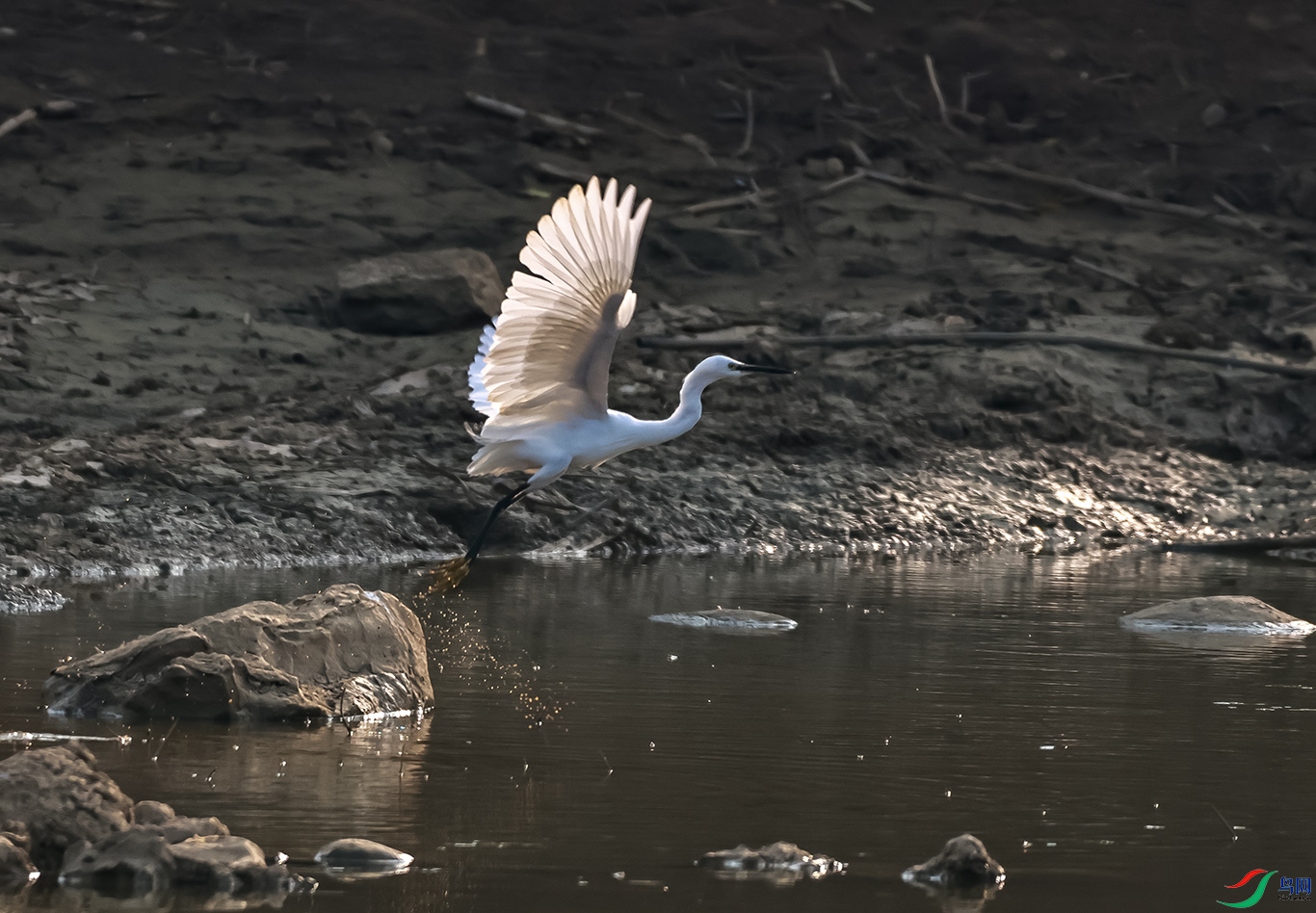 0J2A0635-0.jpg