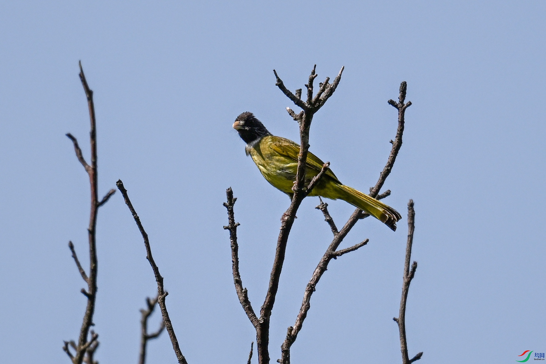 DSC_4535.JPG