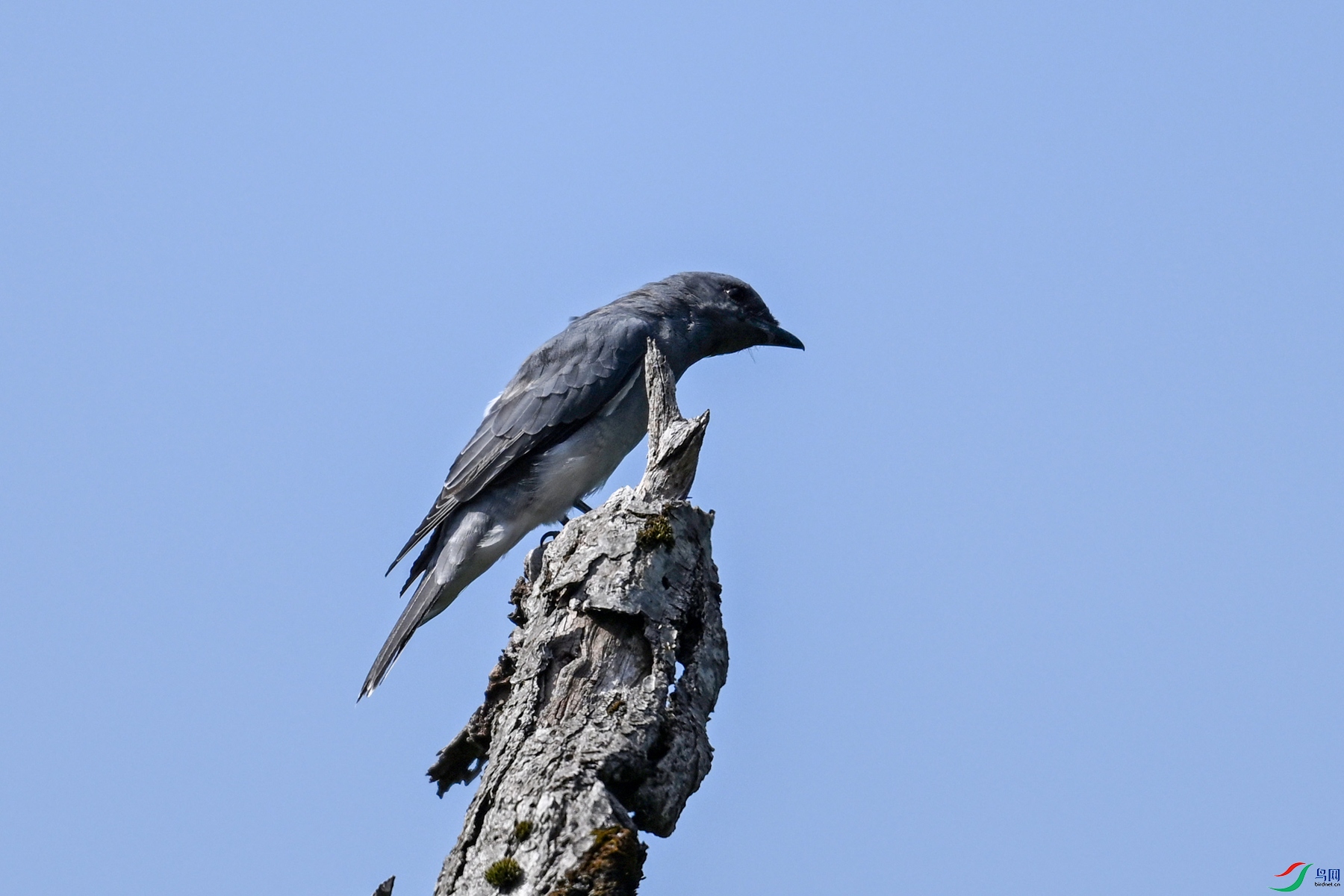 DSC_4551.JPG