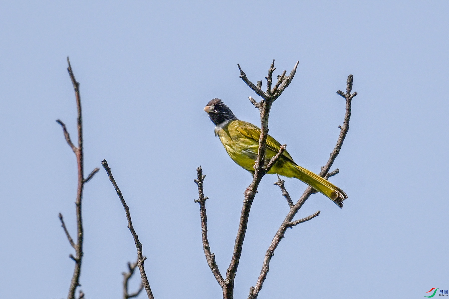 DSC_4537.JPG