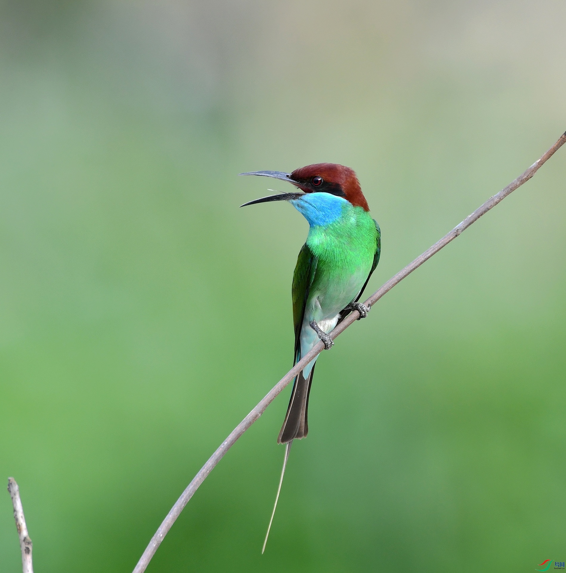 DSC_1684.jpg